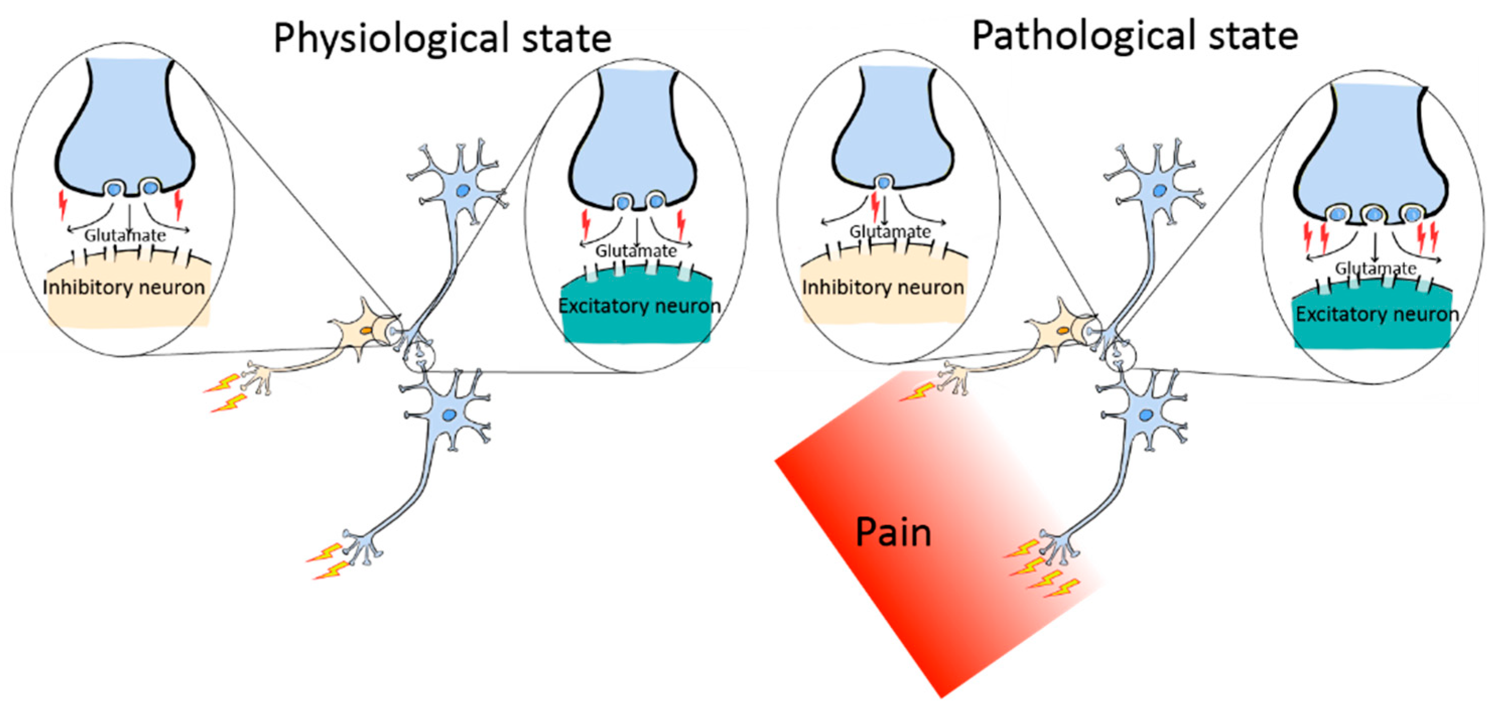 Cells 13 00398 g005 Cells 13 00398 g005