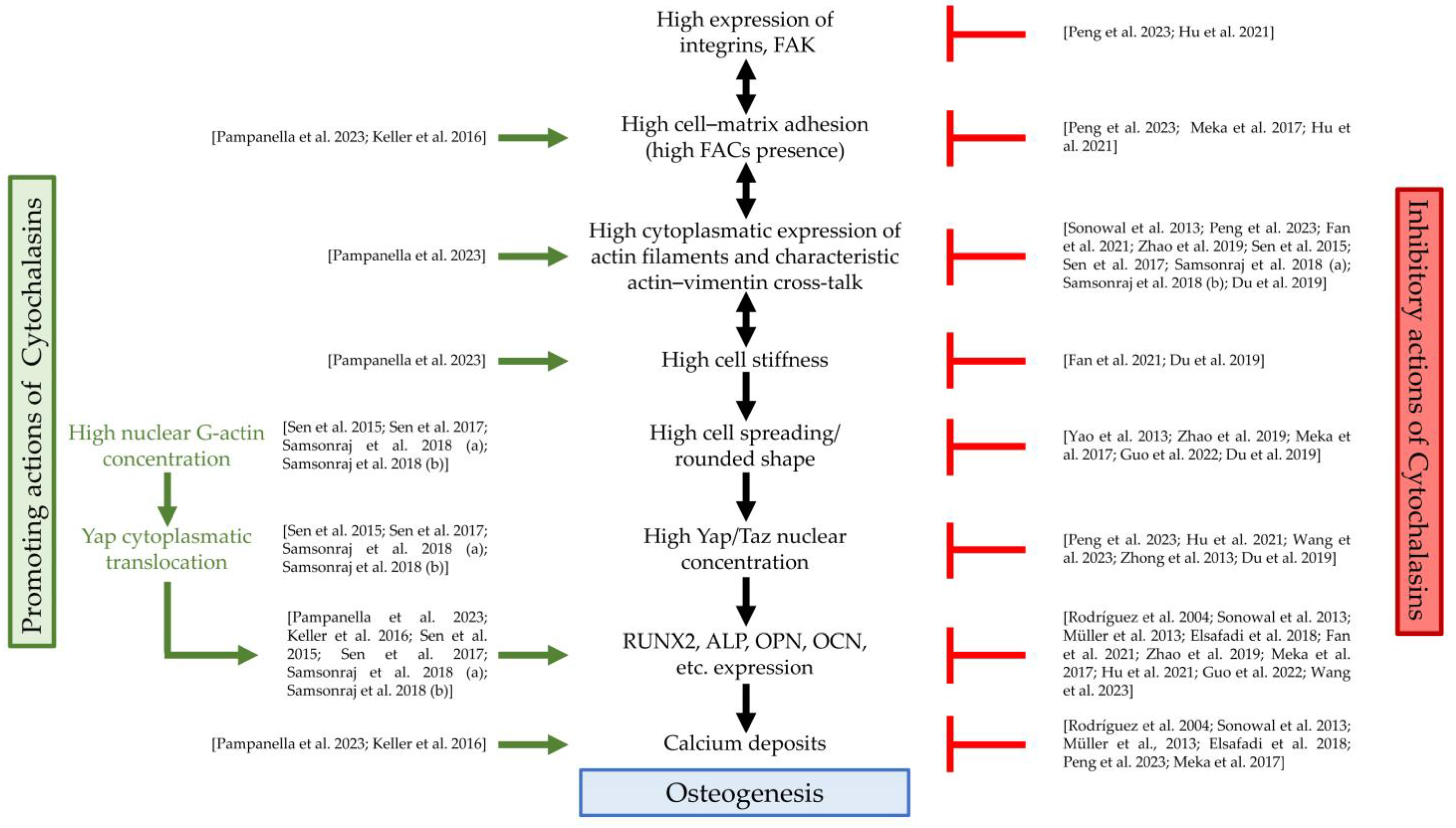 Cells 13 00400 g002 Cells 13 00400 g002