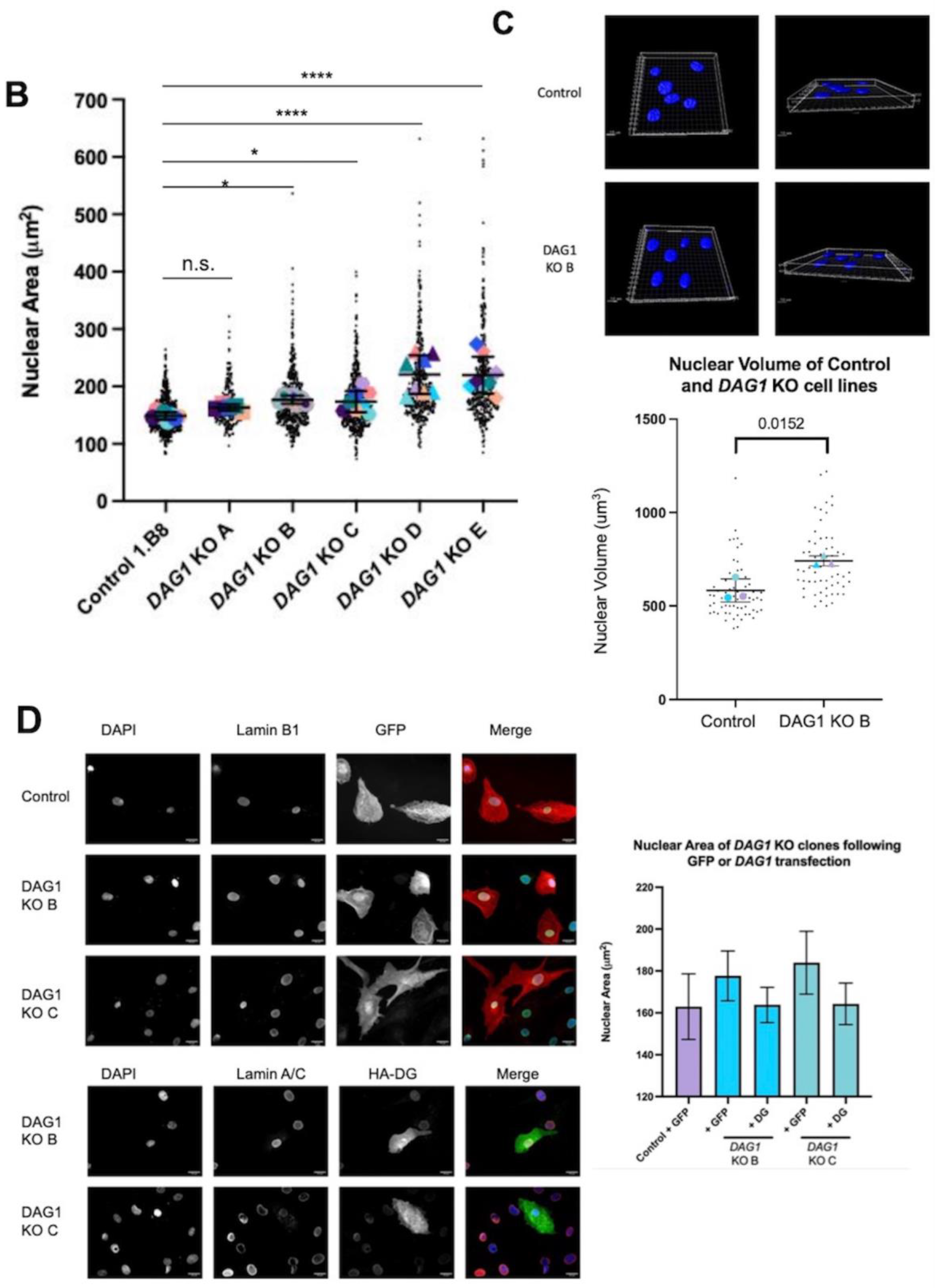 Cells 13 00431 g003b Cells 13 00431 g003b