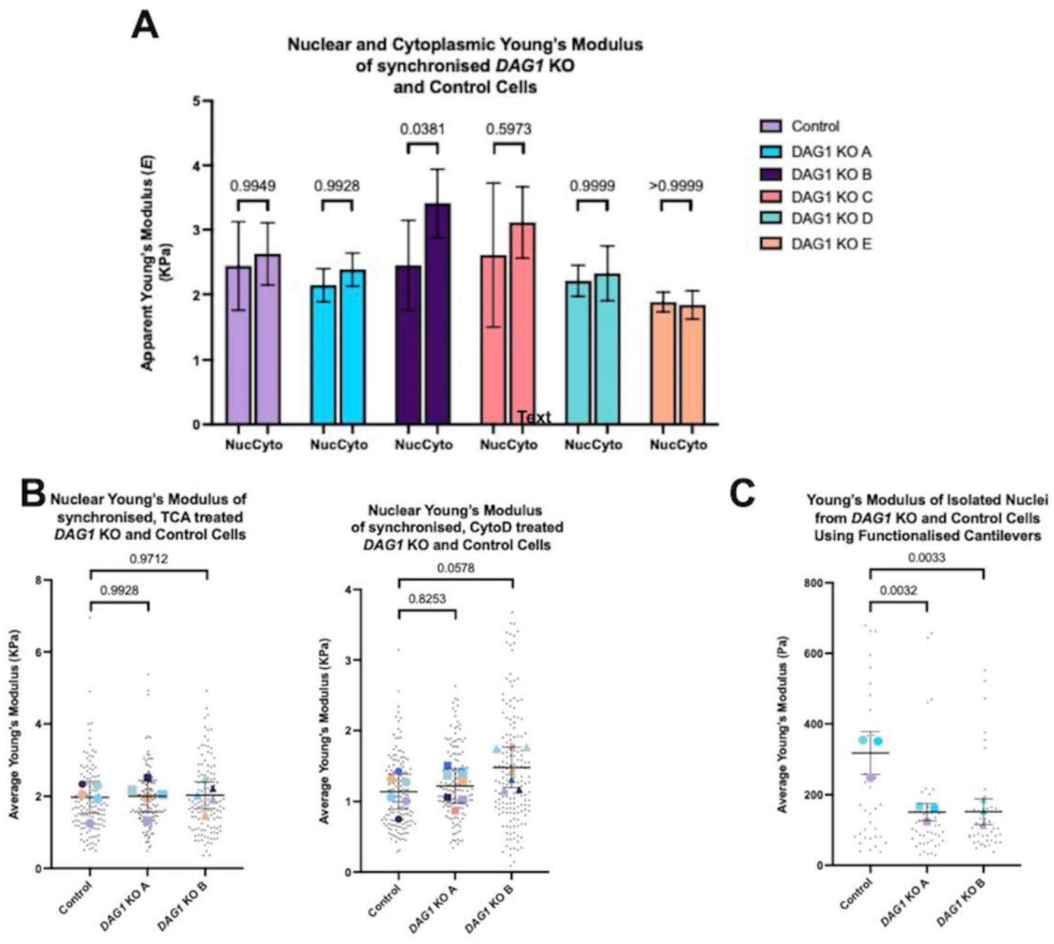 Cells 13 00431 g004 Cells 13 00431 g004