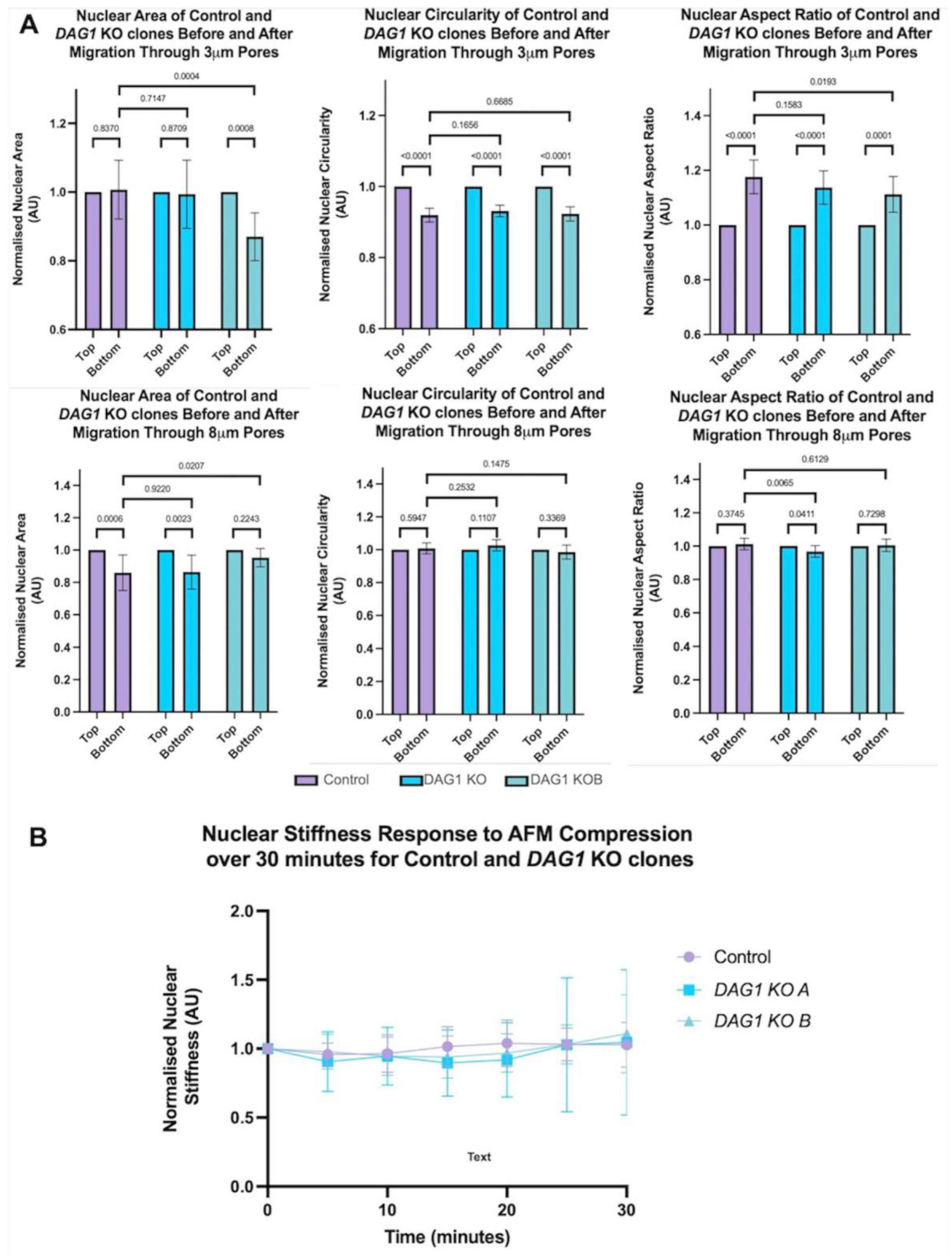 Cells 13 00431 g005 Cells 13 00431 g005
