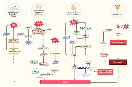 The Role of Oxidative Stress in Tumorigenesis and Progression