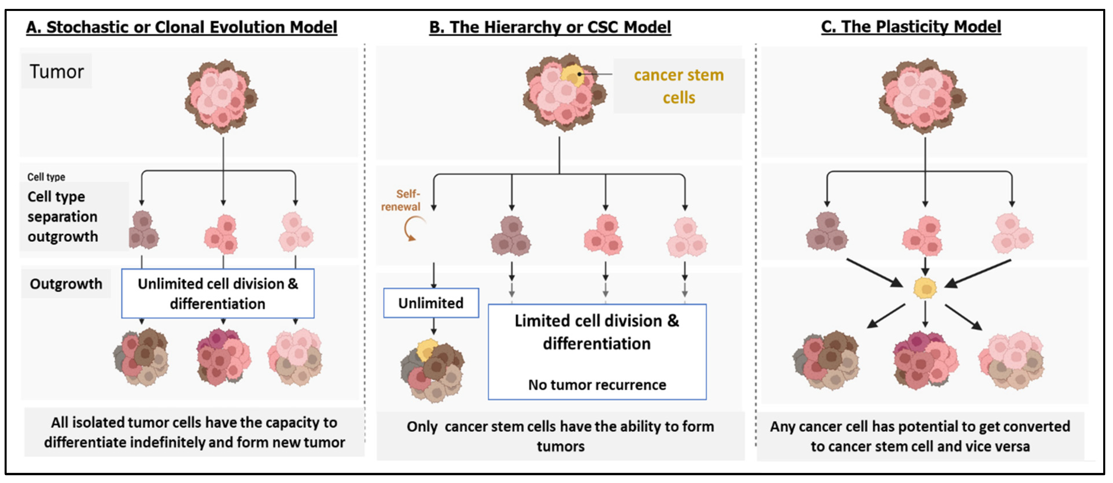 Cells 13 00447 g001 Cells 13 00447 g001
