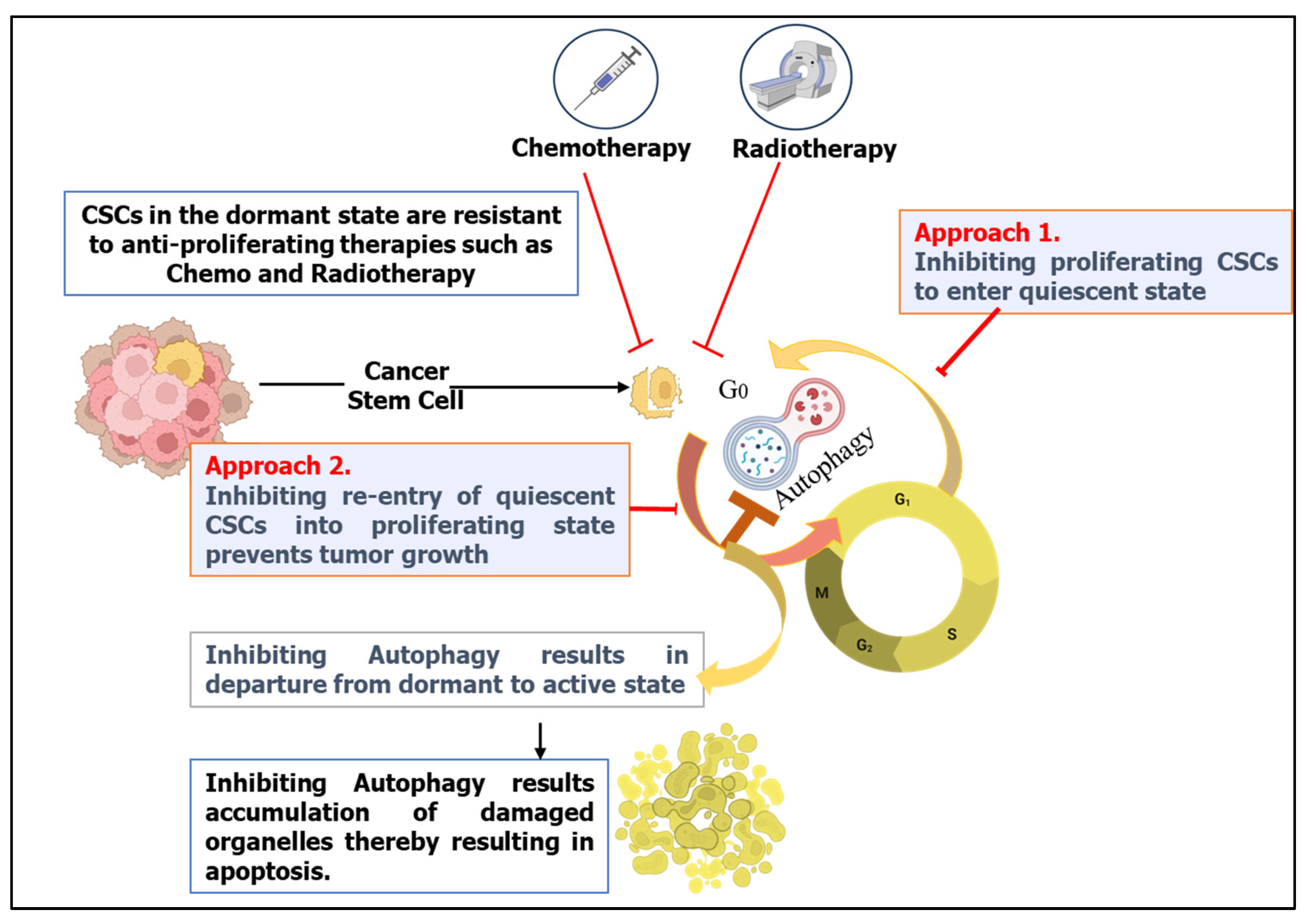 Cells 13 00447 g005 Cells 13 00447 g005