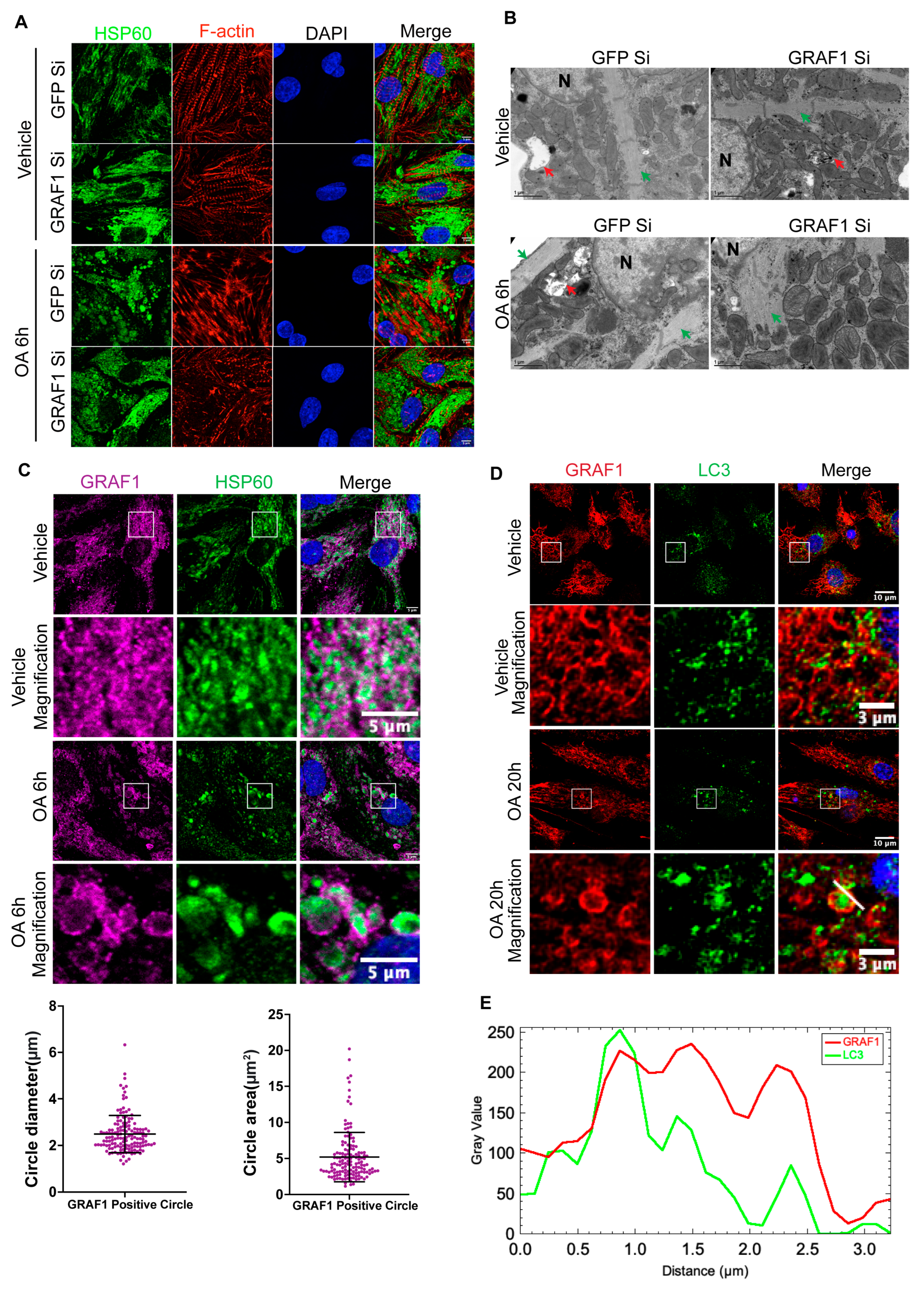 Cells 13 00448 g001 Cells 13 00448 g001