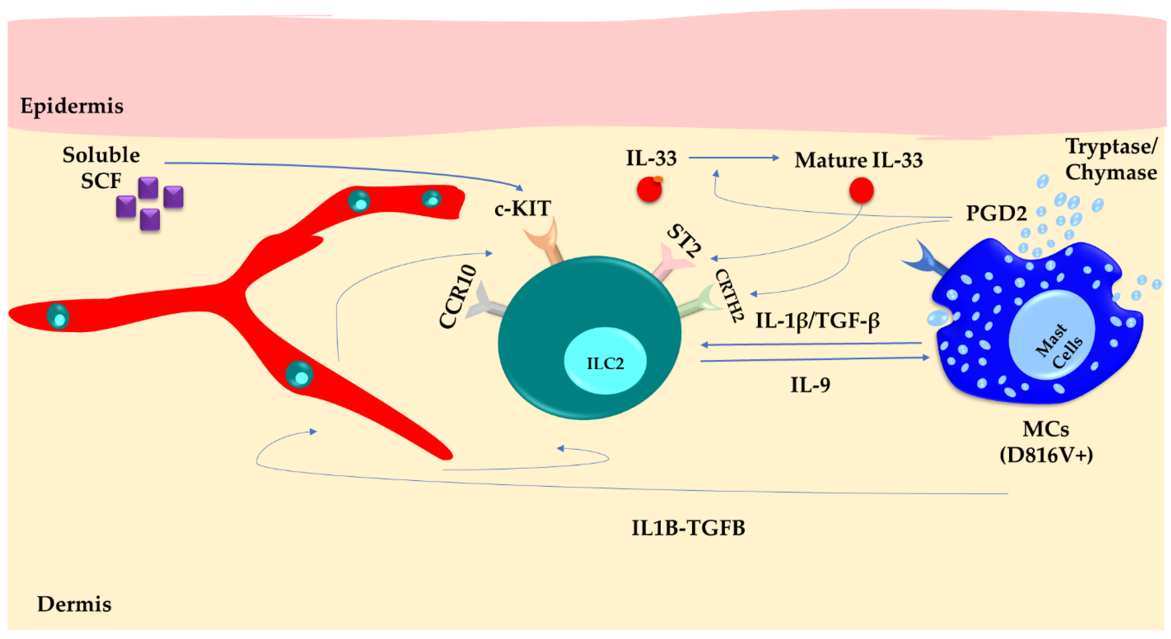 Cells 13 00462 g002 Cells 13 00462 g002