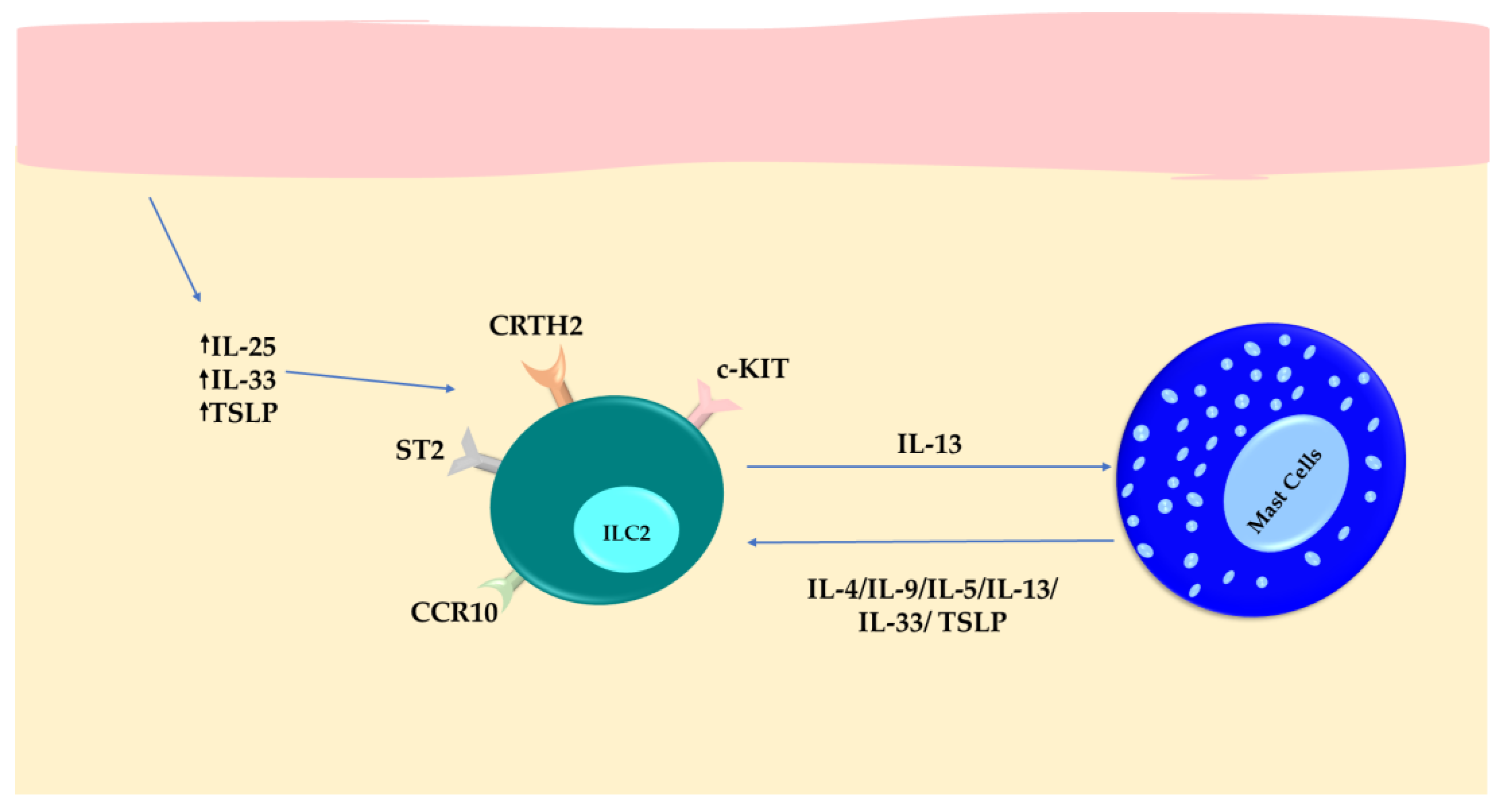 Cells 13 00462 g005 Cells 13 00462 g005