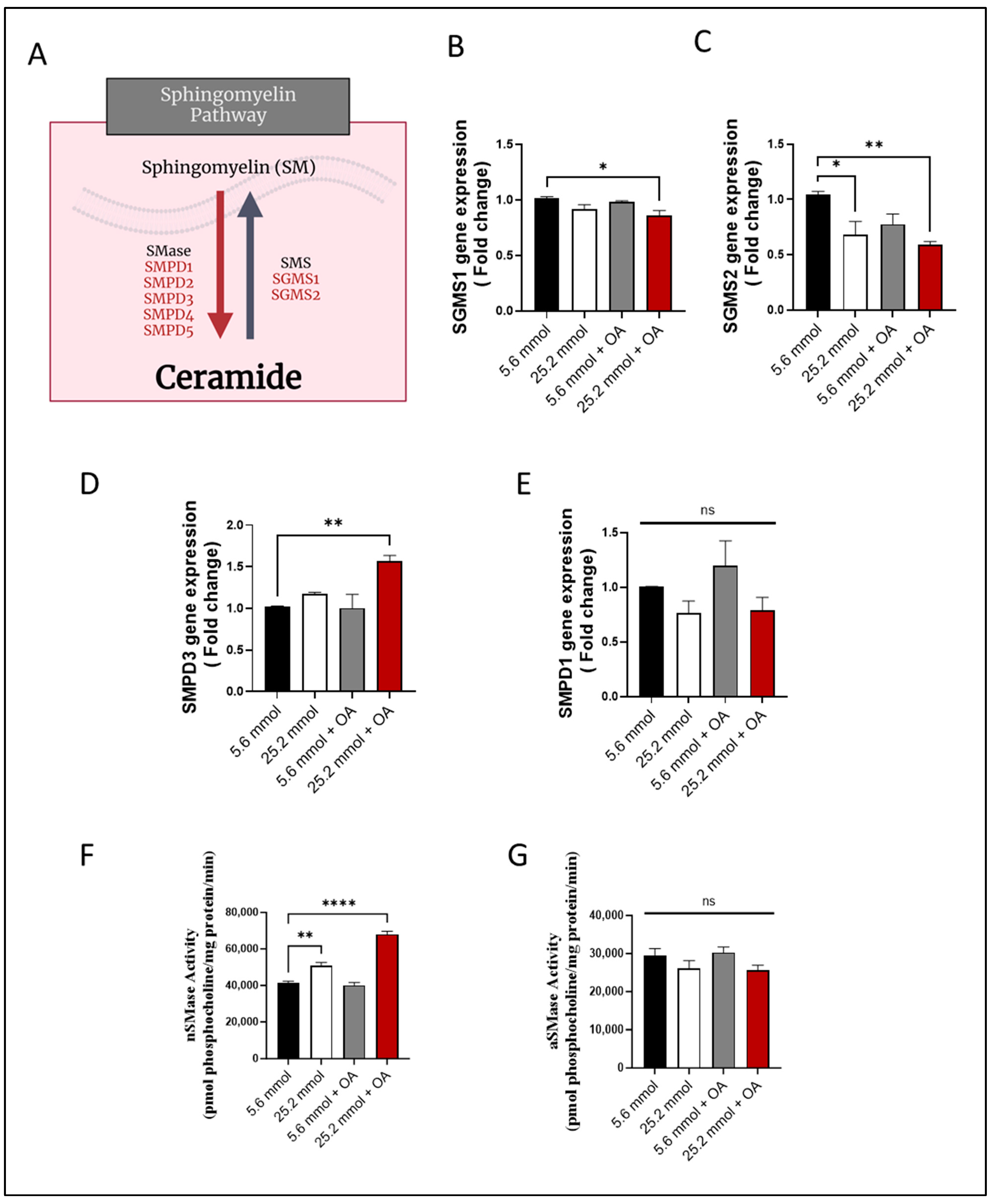 Cells 13 00463 g003 Cells 13 00463 g003