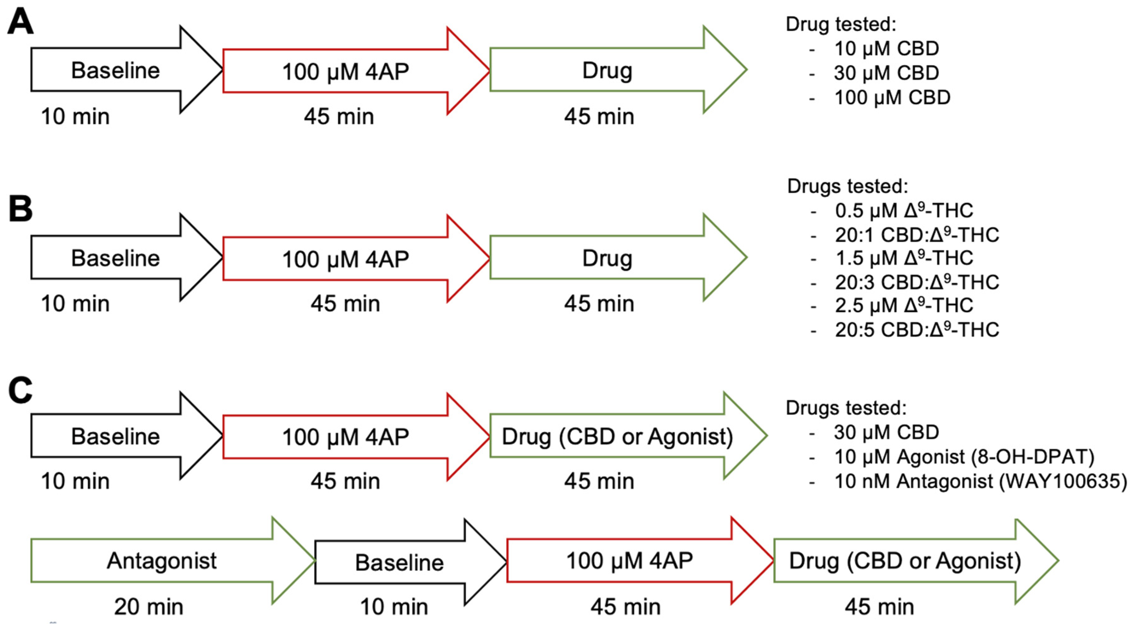 Cells 13 00466 g001 Cells 13 00466 g001