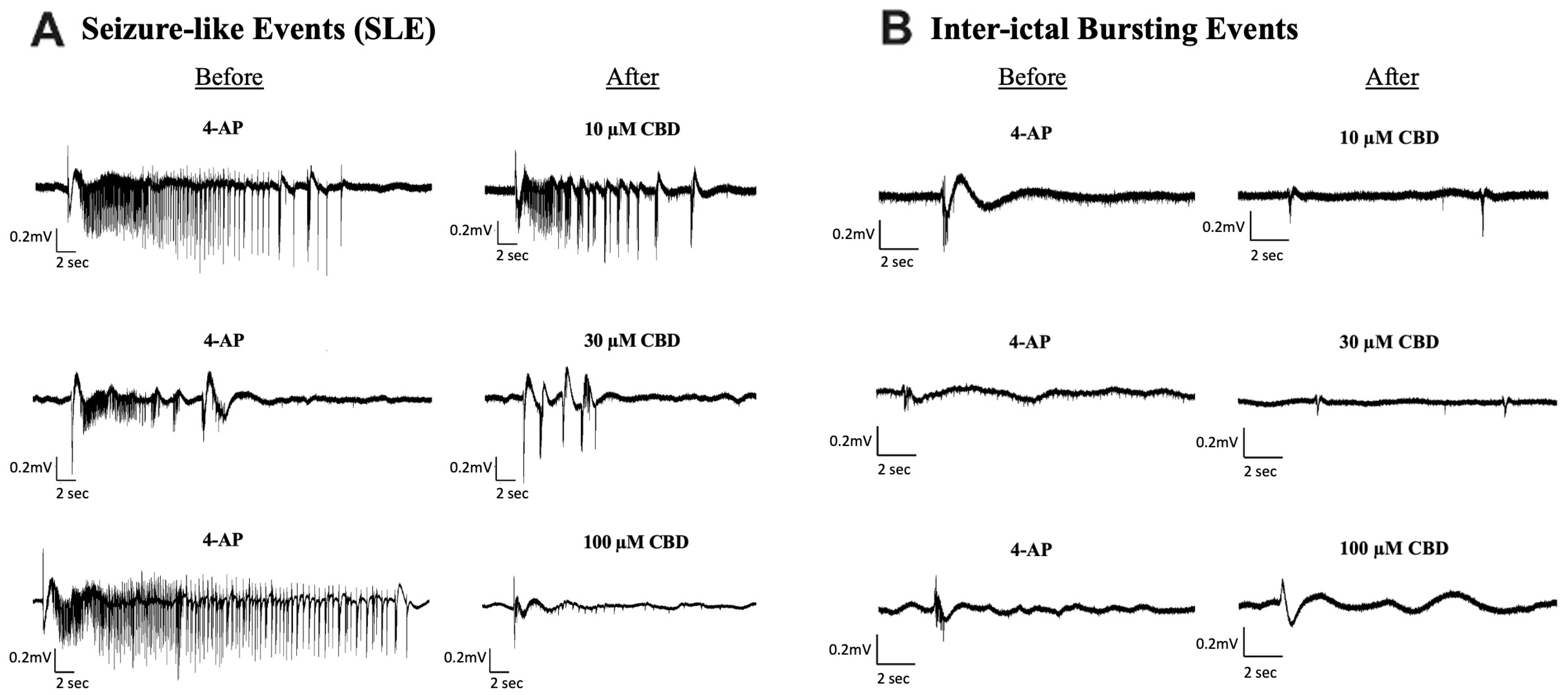 Cells 13 00466 g002 Cells 13 00466 g002
