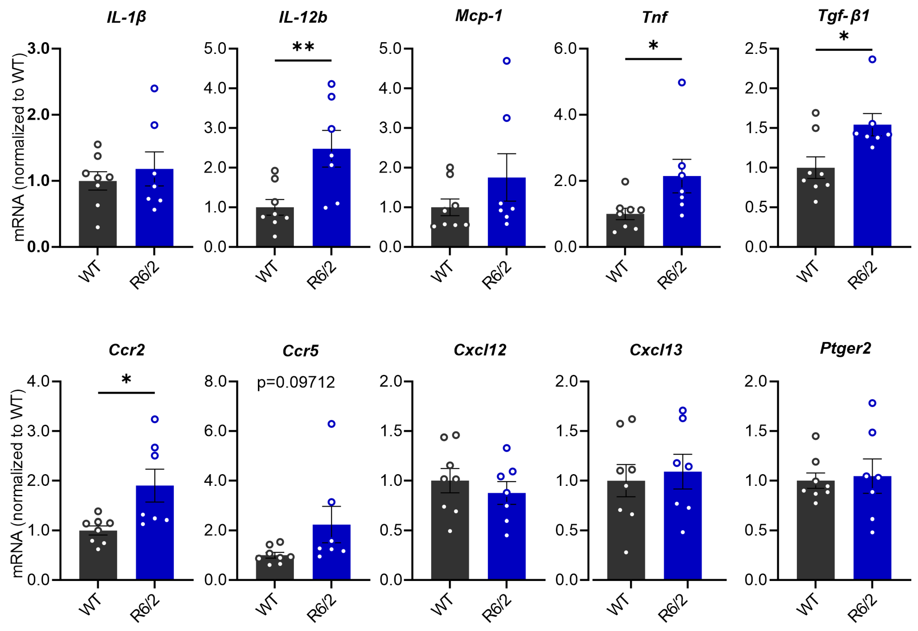 Cells 13 00469 g002 Cells 13 00469 g002