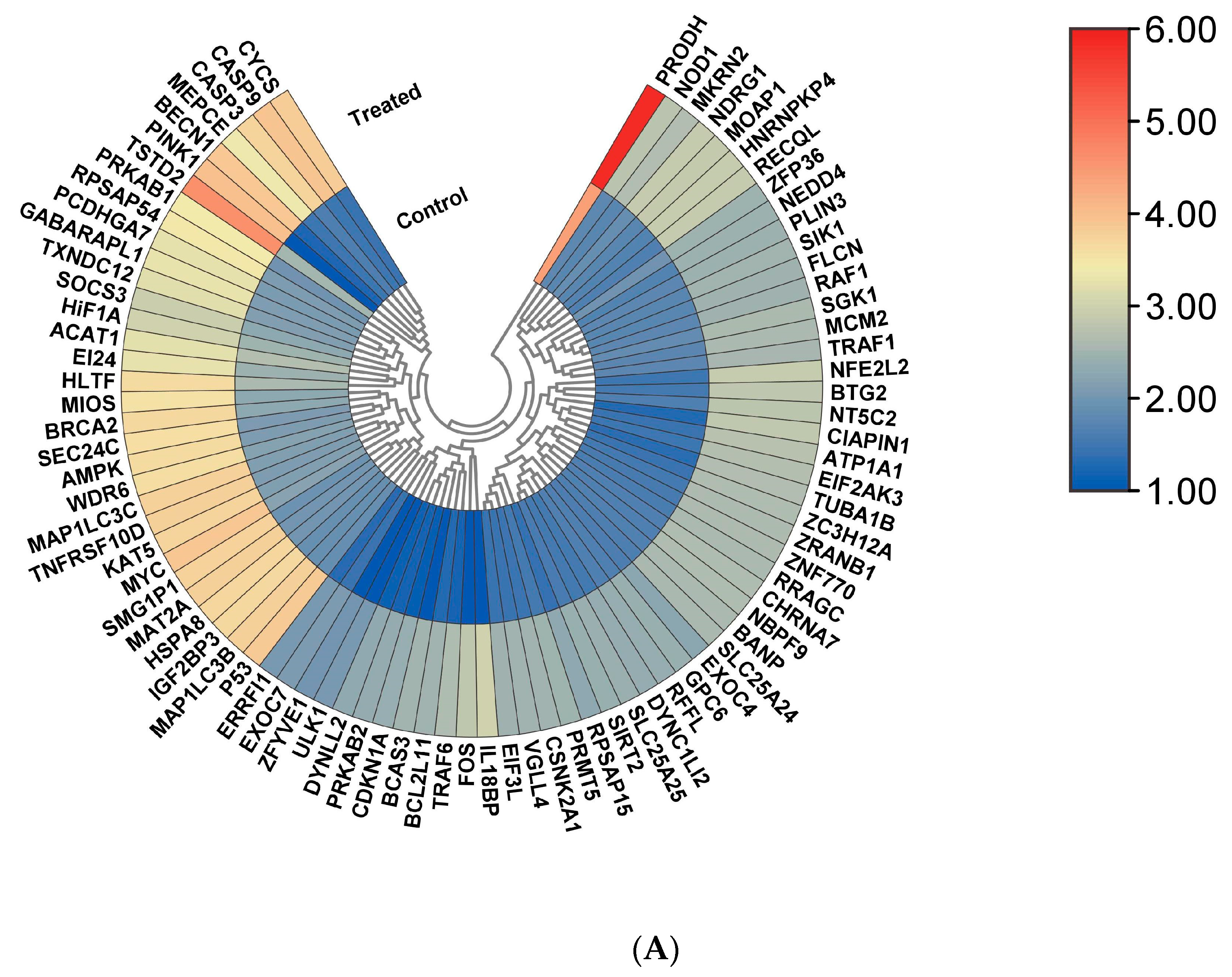 Cells 13 00471 g002a