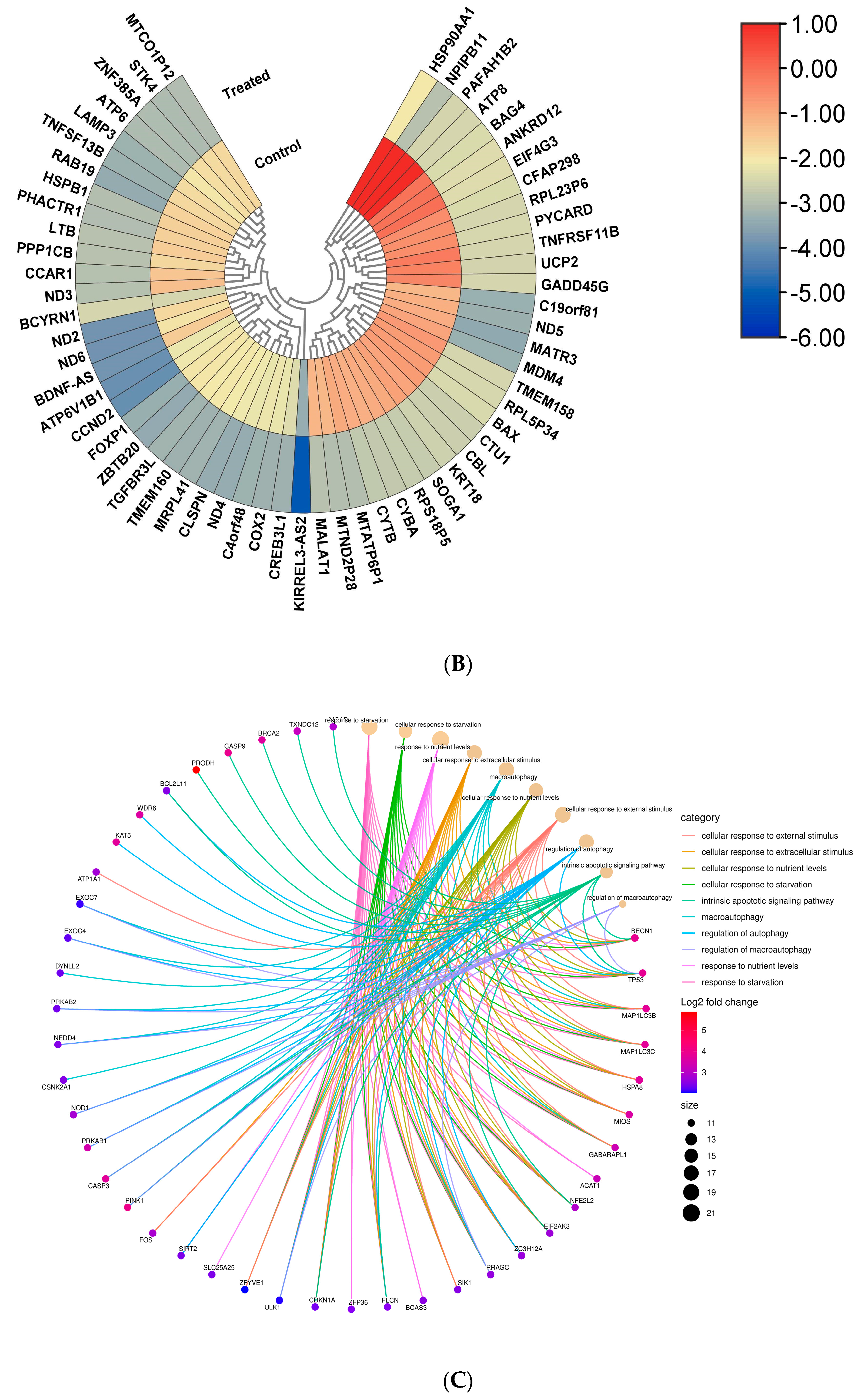 Cells 13 00471 g002b