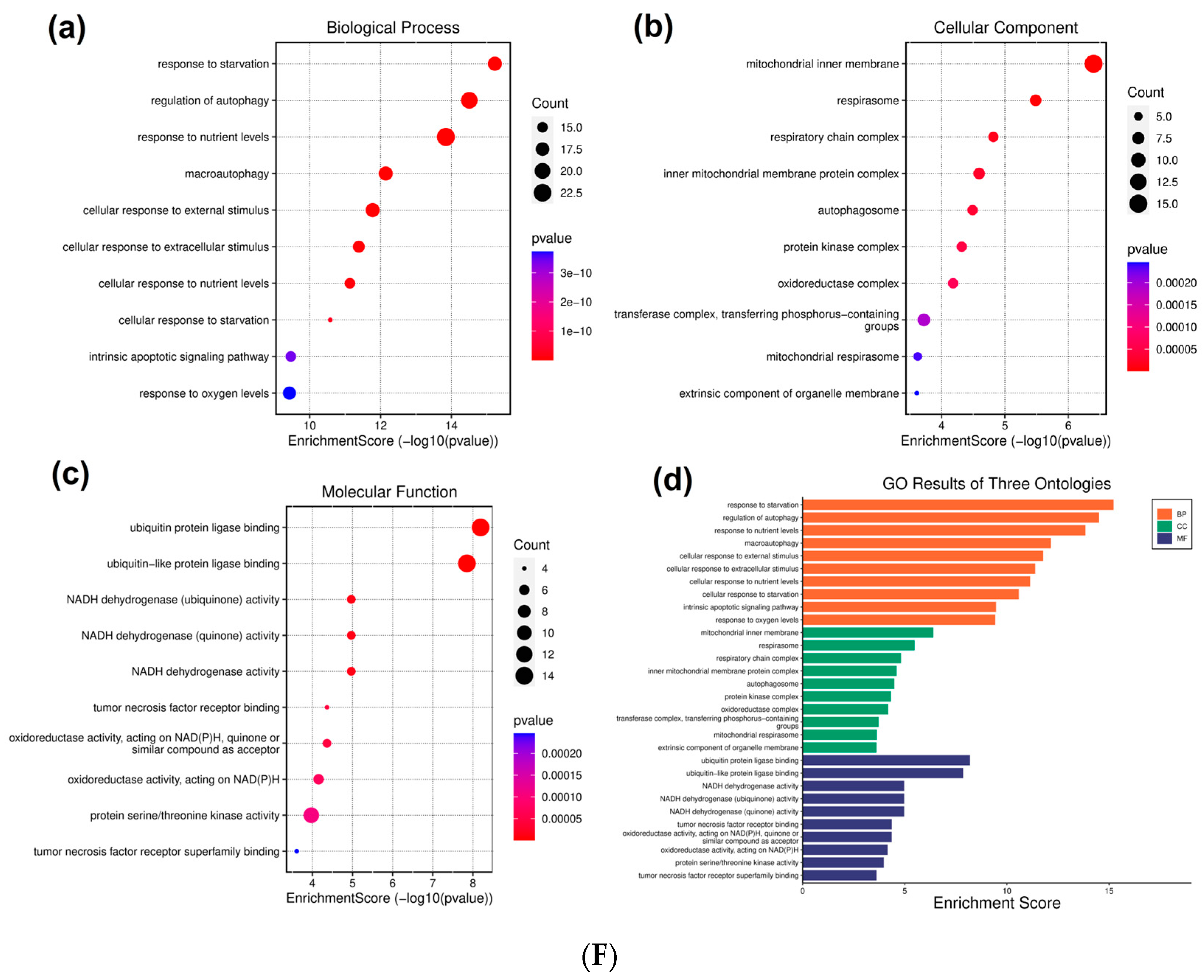 Cells 13 00471 g002d