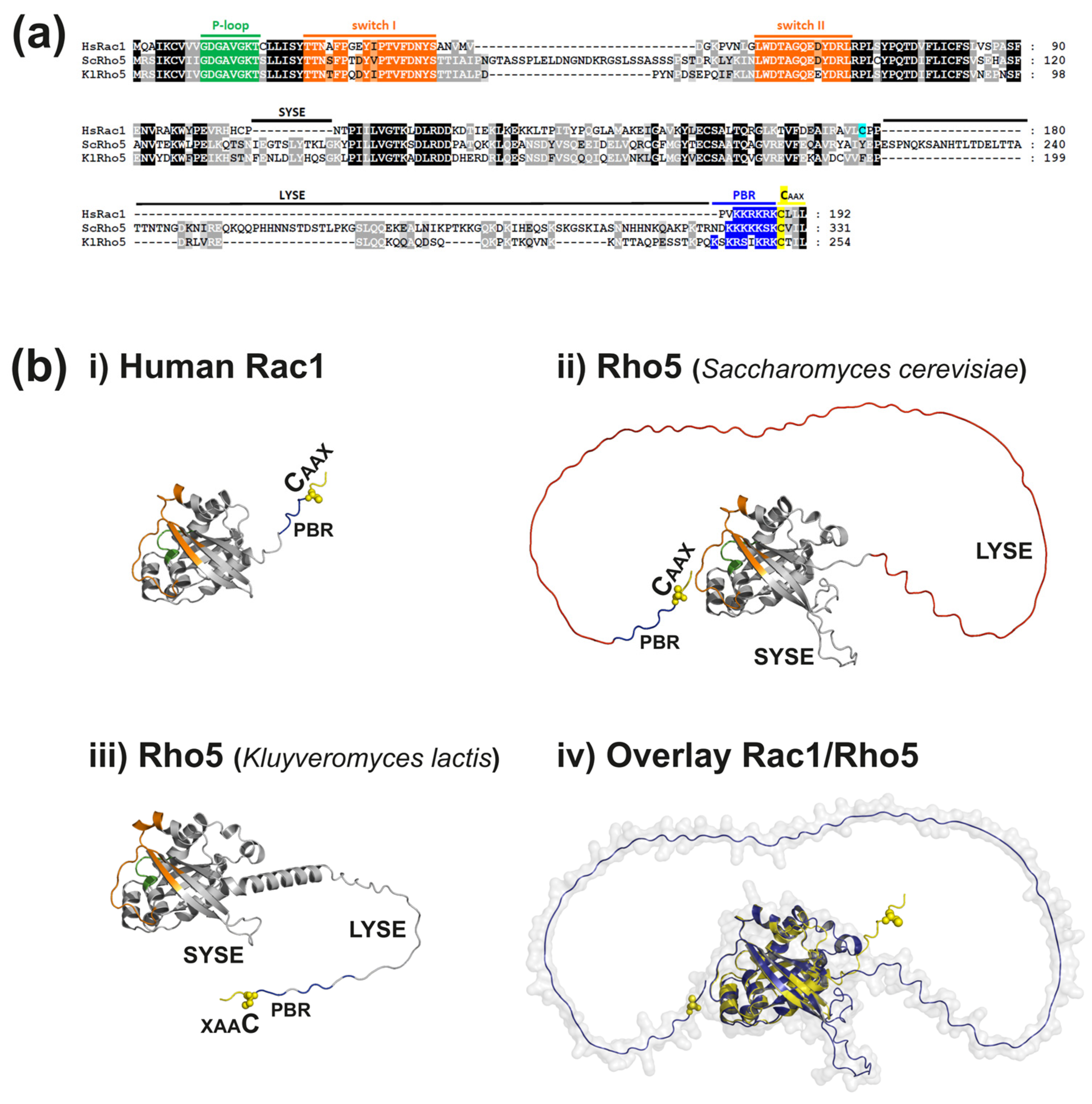 Cells 13 00472 g001 Cells 13 00472 g001