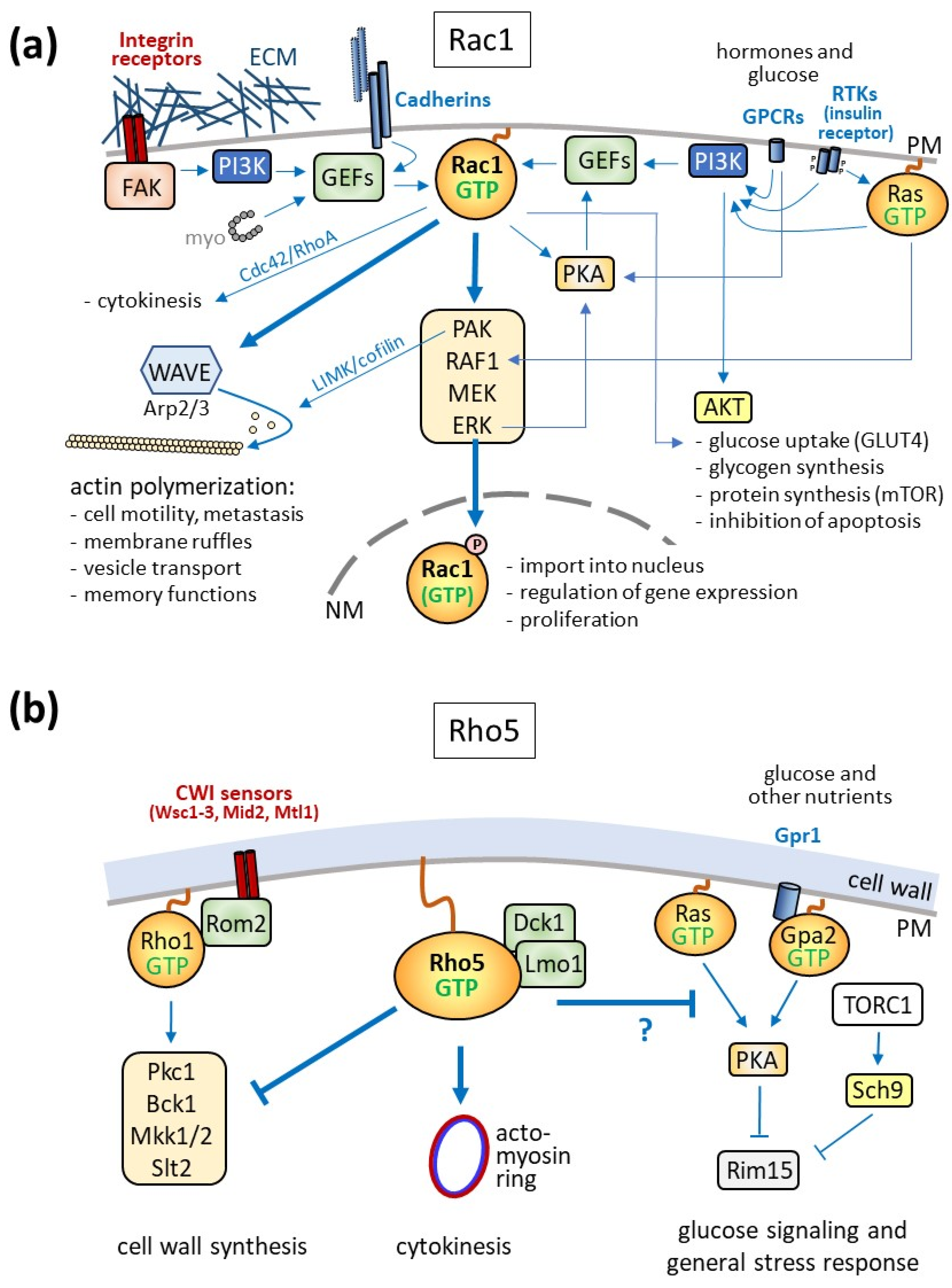 Cells 13 00472 g003 Cells 13 00472 g003