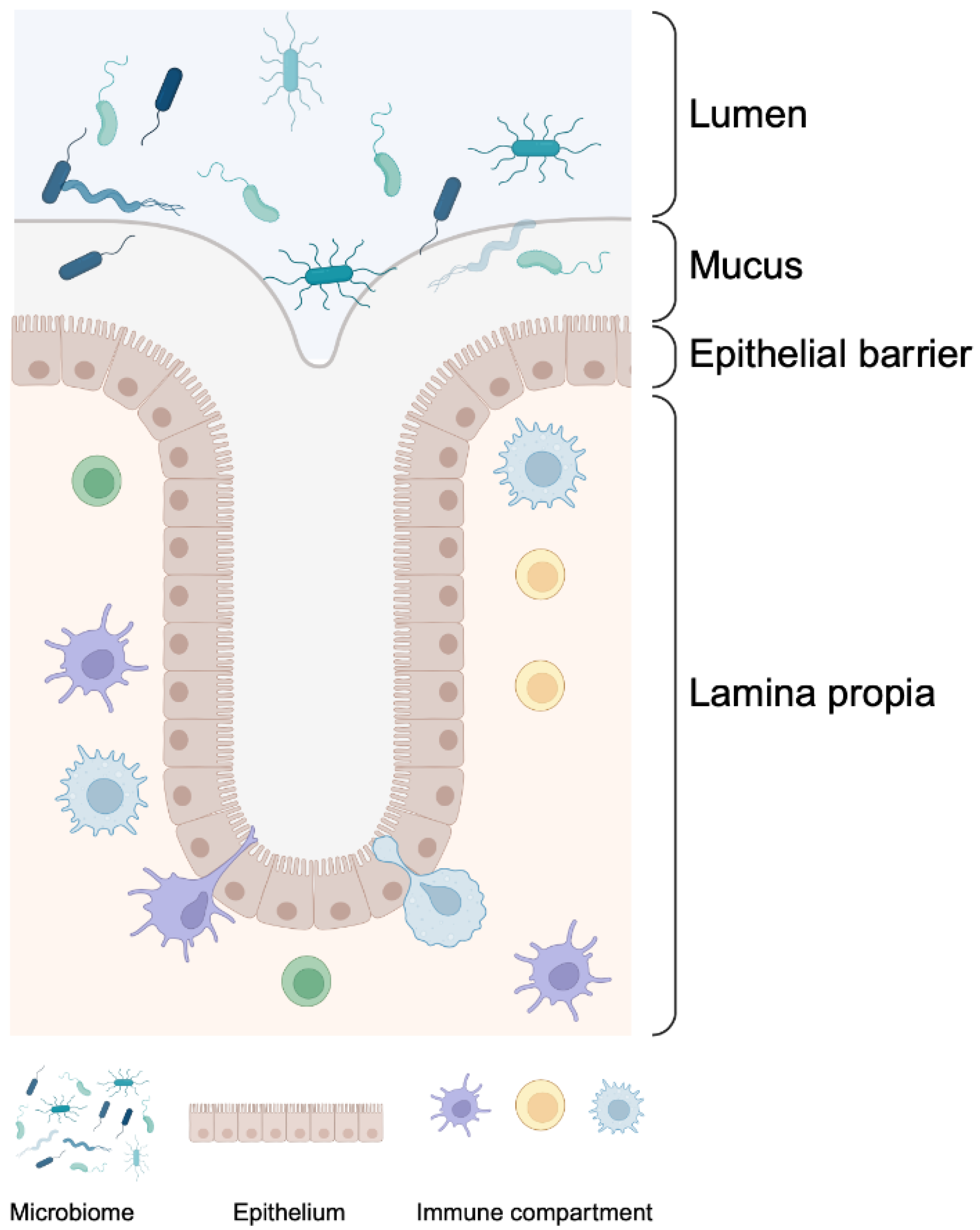 Cells 13 00477 g001 Cells 13 00477 g001