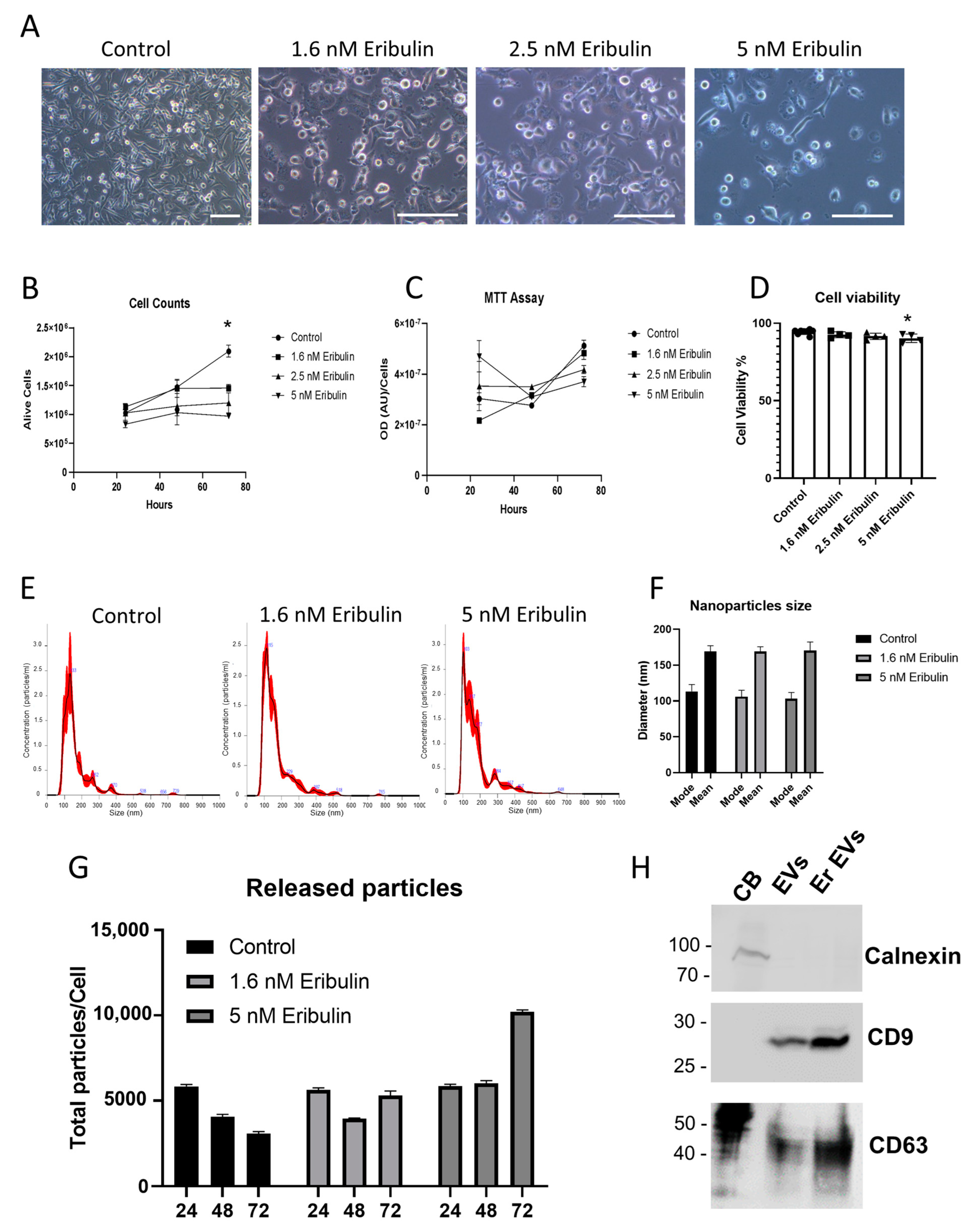 Cells | Free Full-Text | Effects of Eribulin on the RNA Content of Cells | Free Full-Text | Effects of Eribulin on the RNA Content of