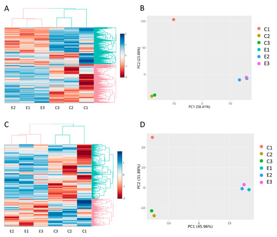 Effects of Eribulin on the RNA Content of Extracellular Vesicles