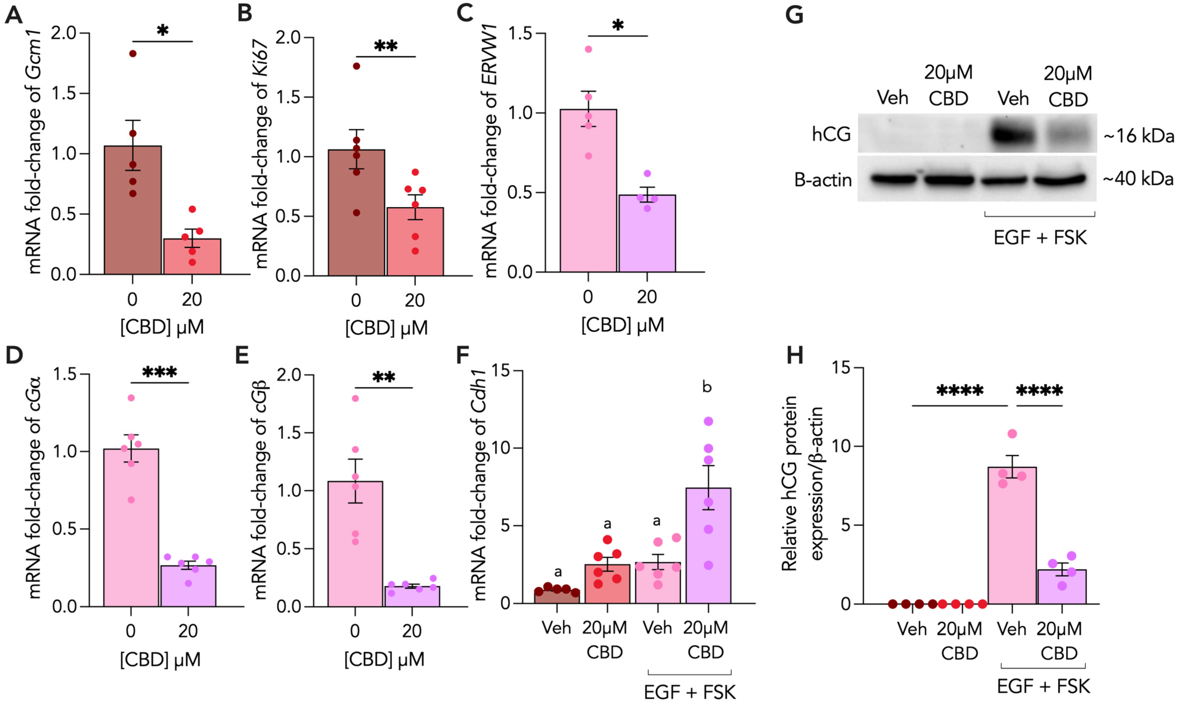 Cells 13 00486 g001 Cells 13 00486 g001