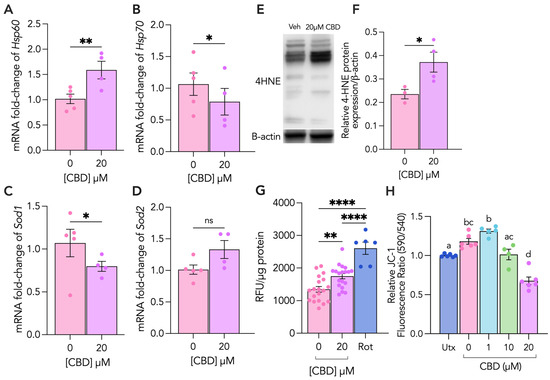 Cannabidiol Disrupts Mitochondrial Respiration and Metabolism and ...
