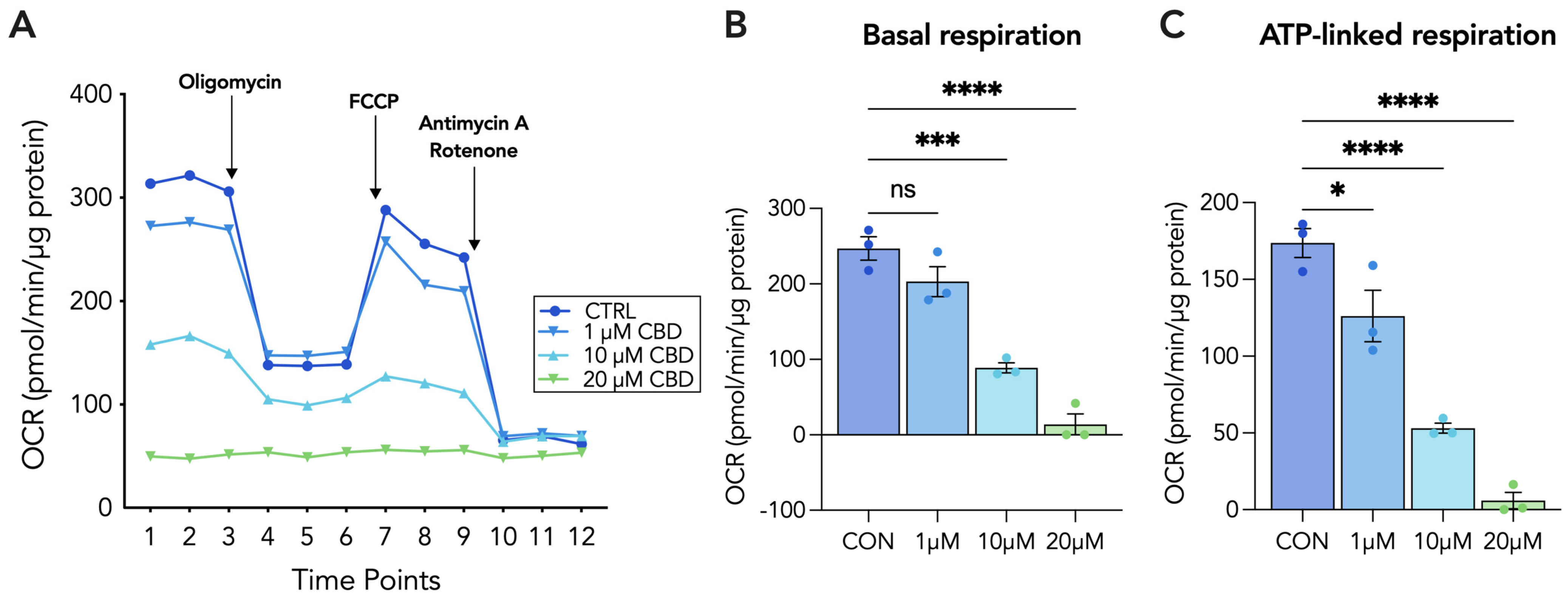Cells 13 00486 g005 Cells 13 00486 g005