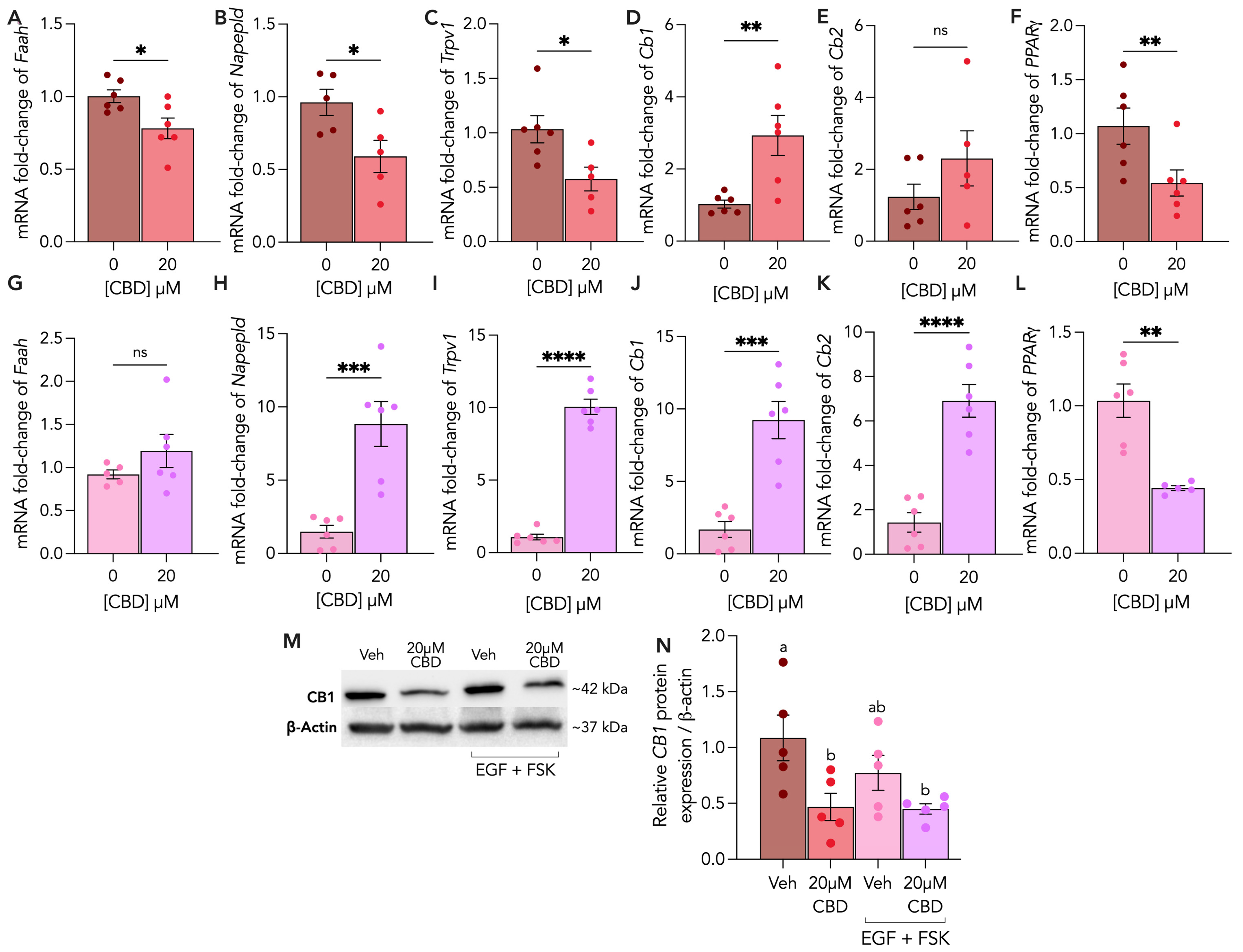 Cells 13 00486 g006 Cells 13 00486 g006