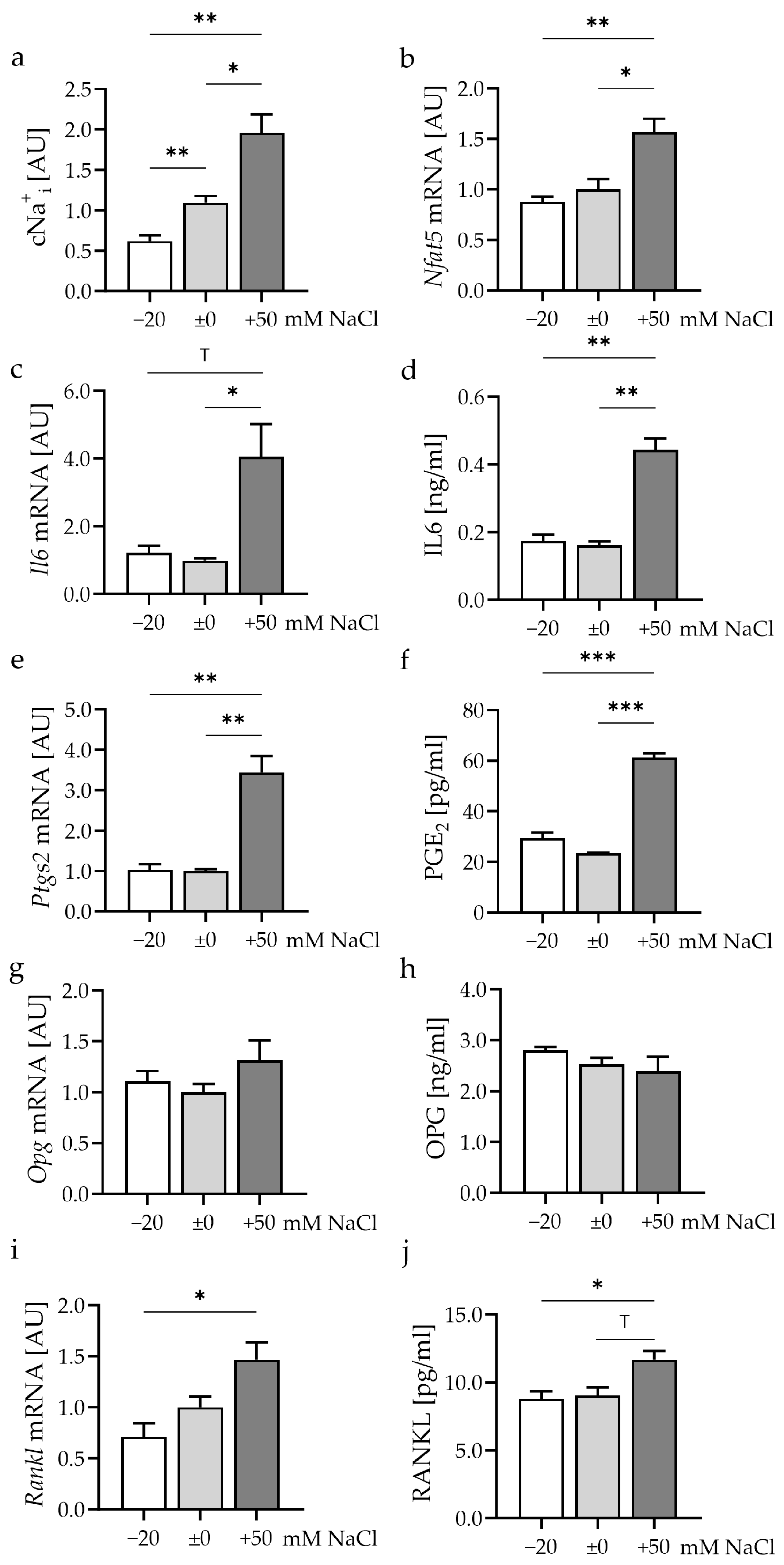 Cells 13 00496 g002 Cells 13 00496 g002