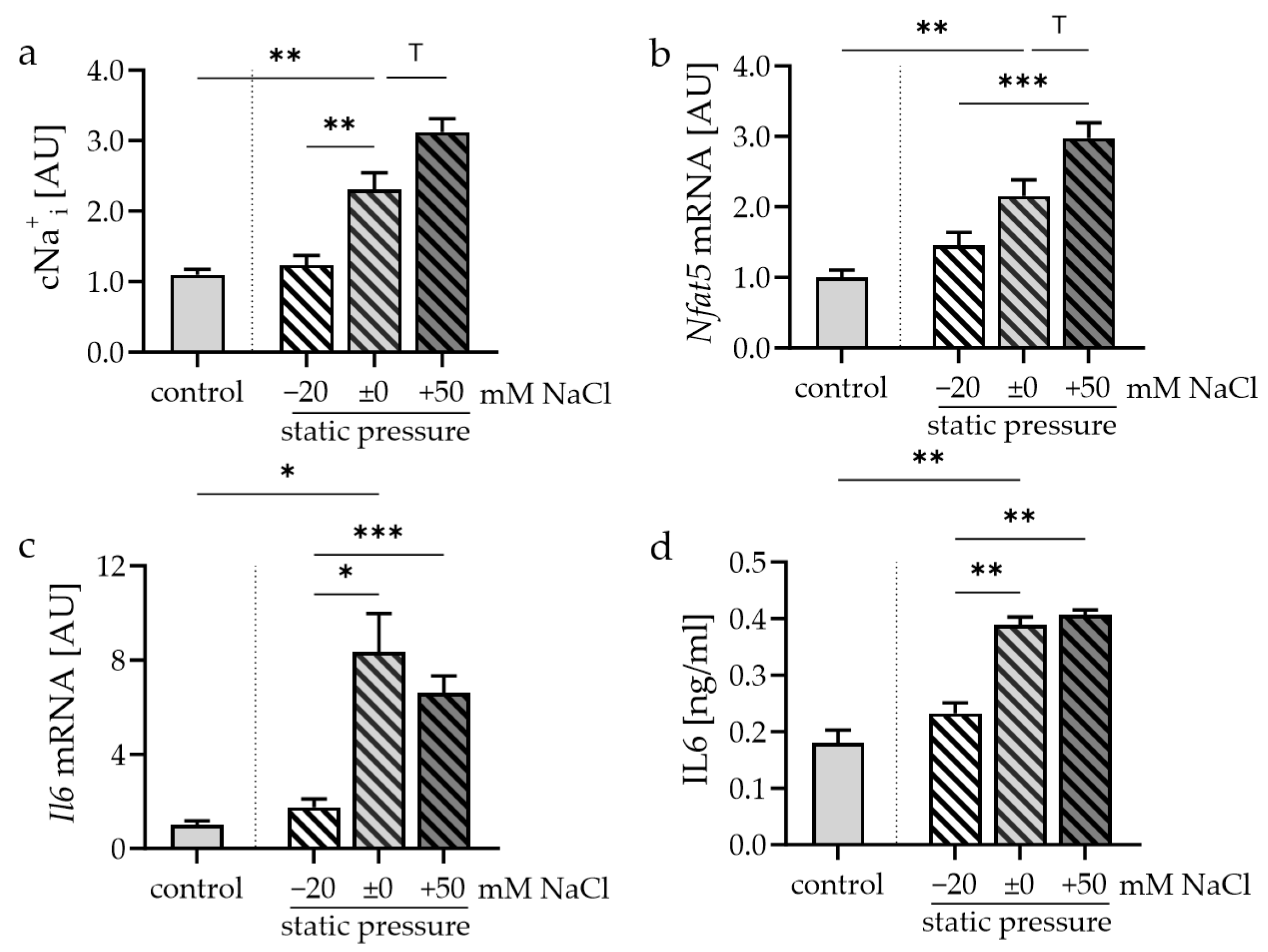 Cells 13 00496 g003a Cells 13 00496 g003a