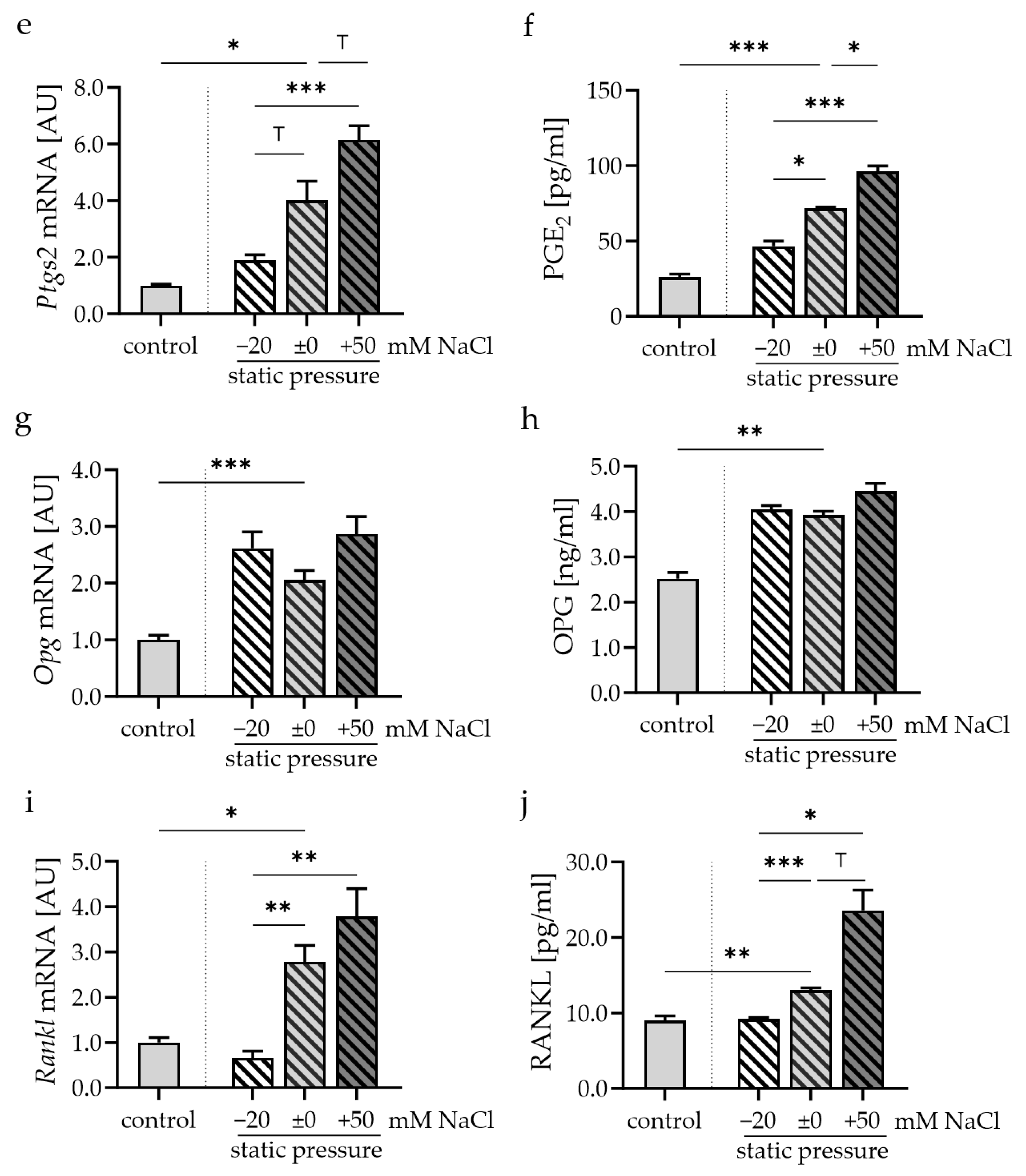 Cells 13 00496 g003b Cells 13 00496 g003b