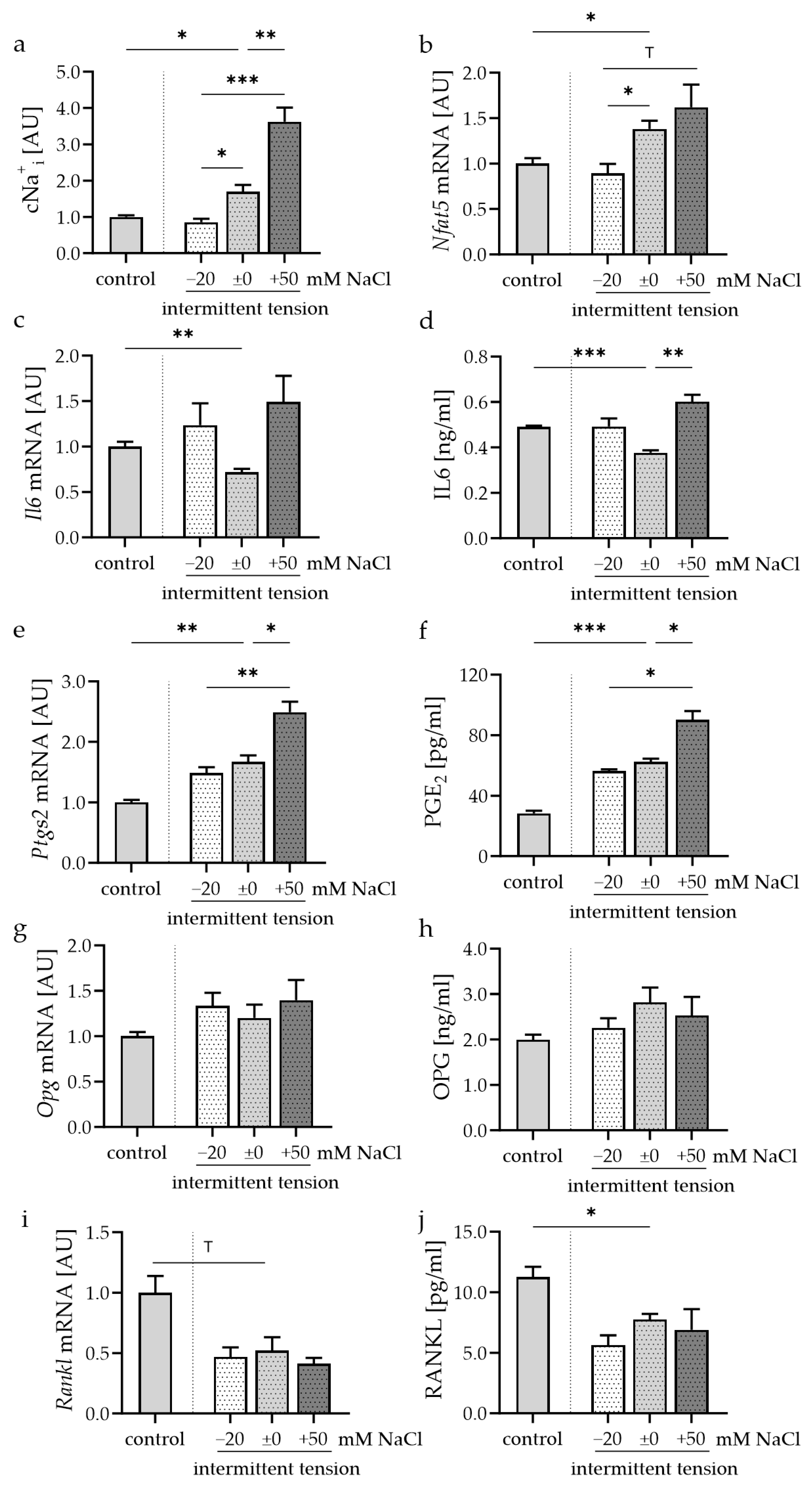 Cells 13 00496 g004 Cells 13 00496 g004