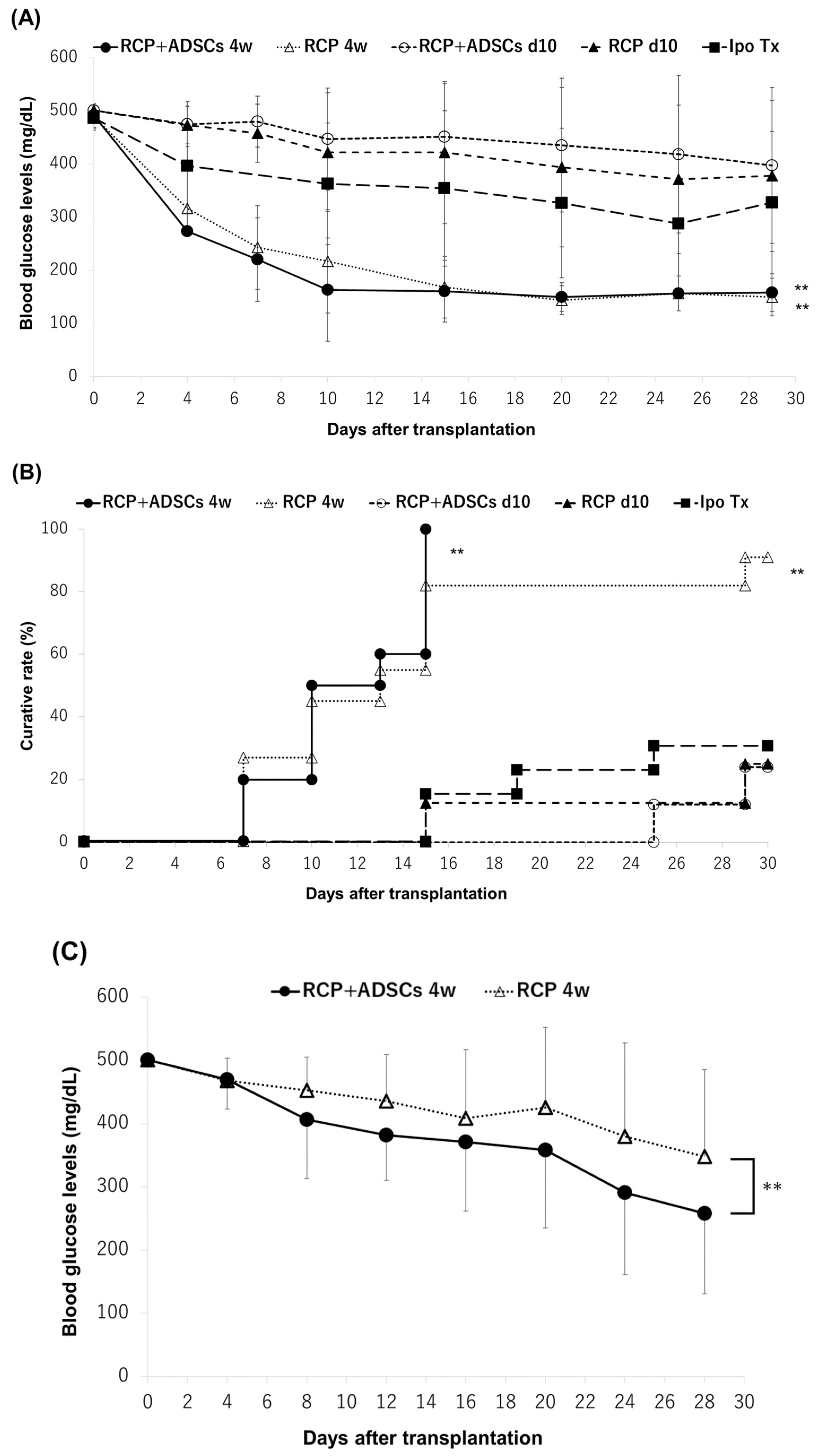 Cells 13 00499 g003a