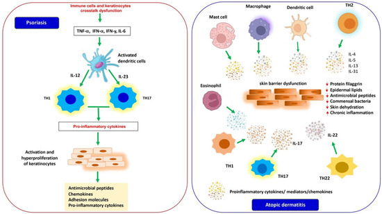 Inflammatory Skin Diseases: Focus on the Role of Suppressors of ...