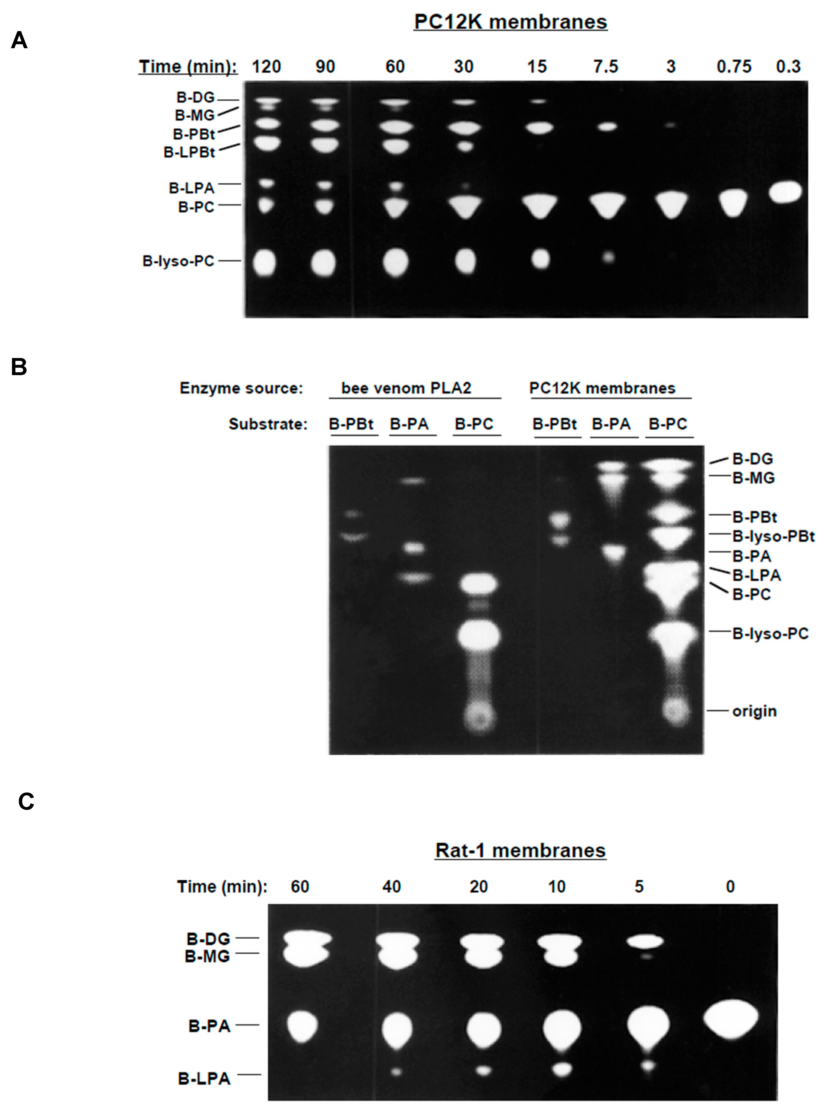 Cells 13 00520 g001 Cells 13 00520 g001