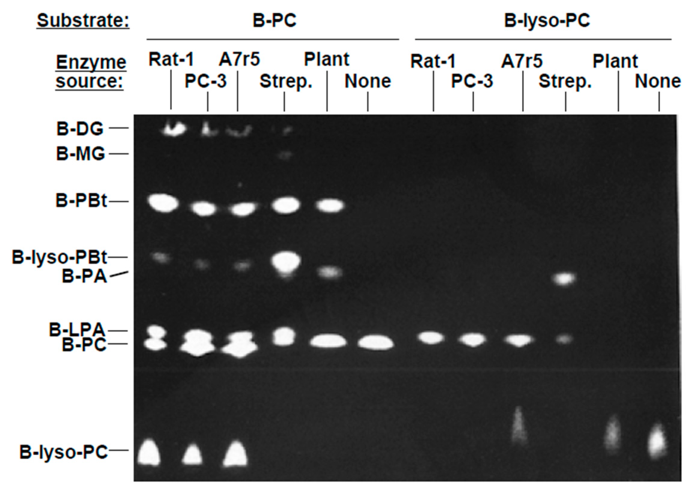 Cells 13 00520 g002 Cells 13 00520 g002