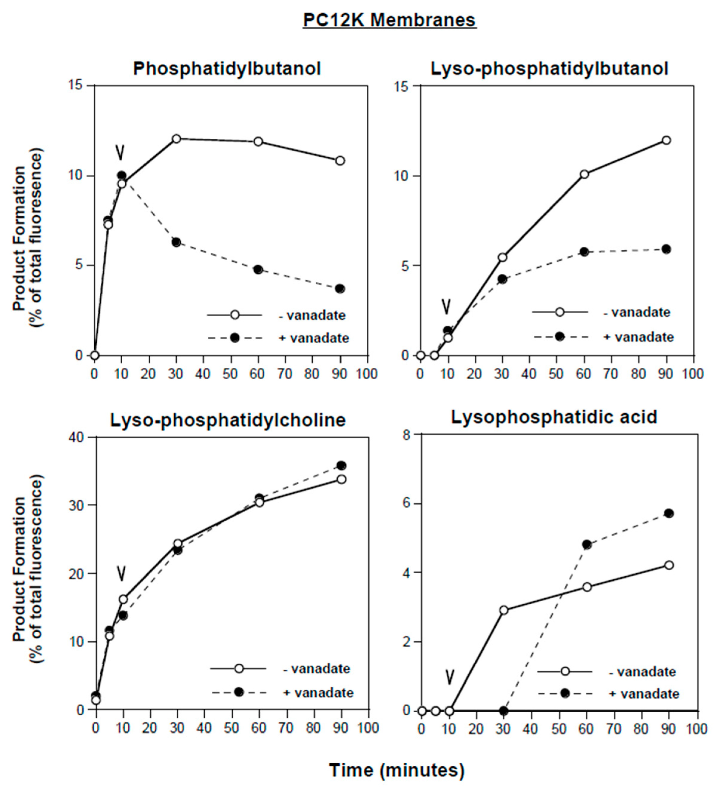 Cells 13 00520 g005 Cells 13 00520 g005