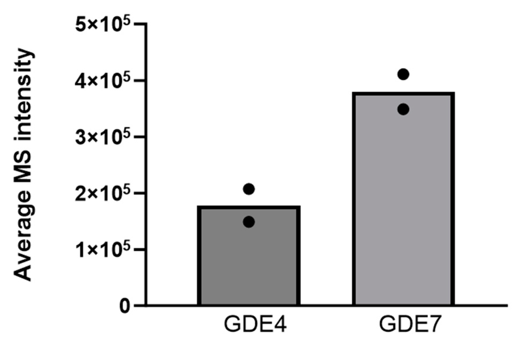 Cells 13 00520 g010 Cells 13 00520 g010