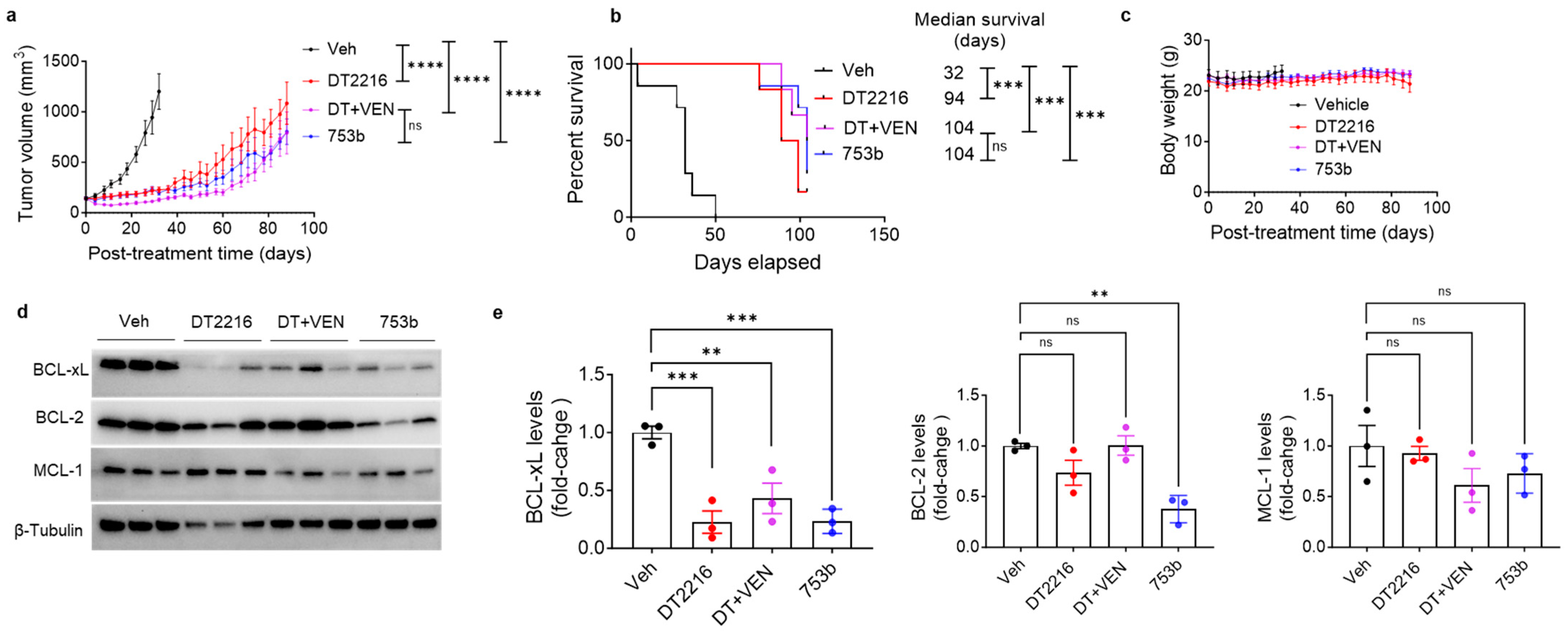 Cells 13 00528 g004 Cells 13 00528 g004