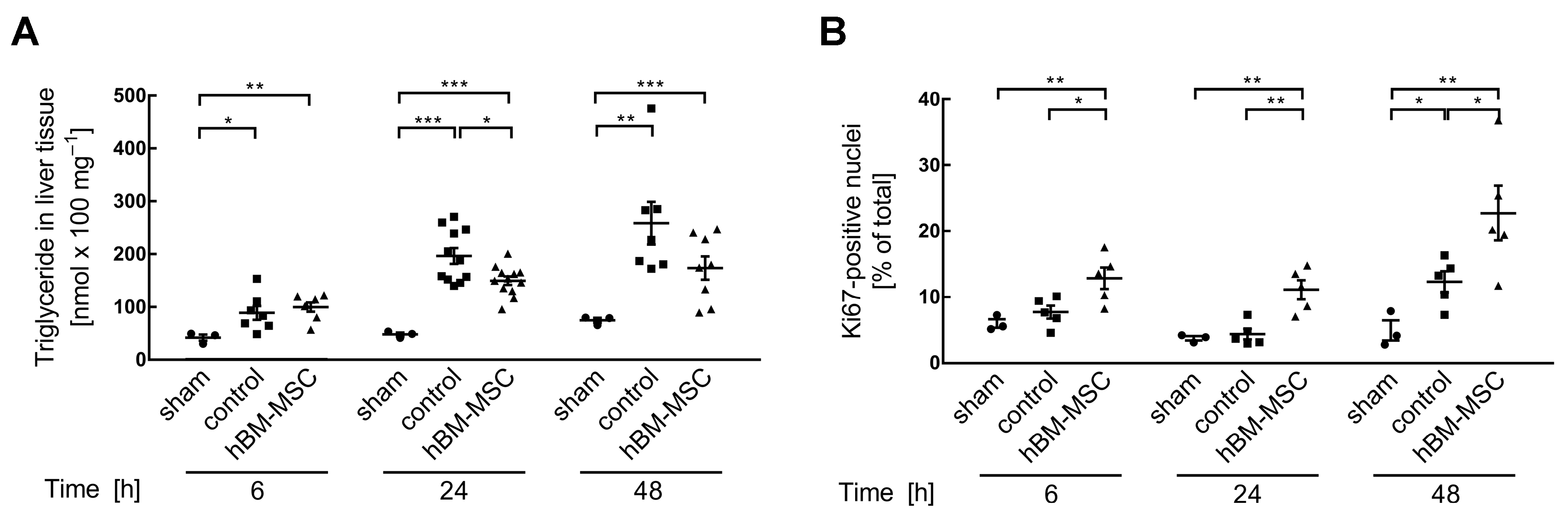 Cells 13 00529 g001 Cells 13 00529 g001