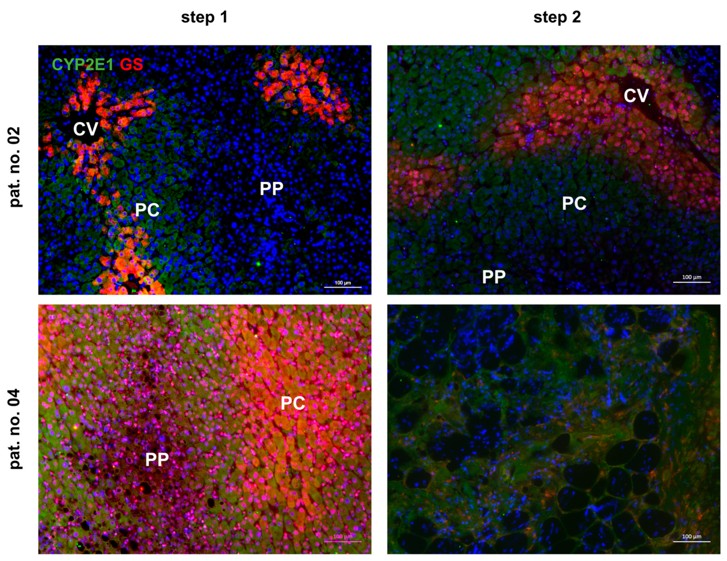 Cells 13 00529 g007 Cells 13 00529 g007