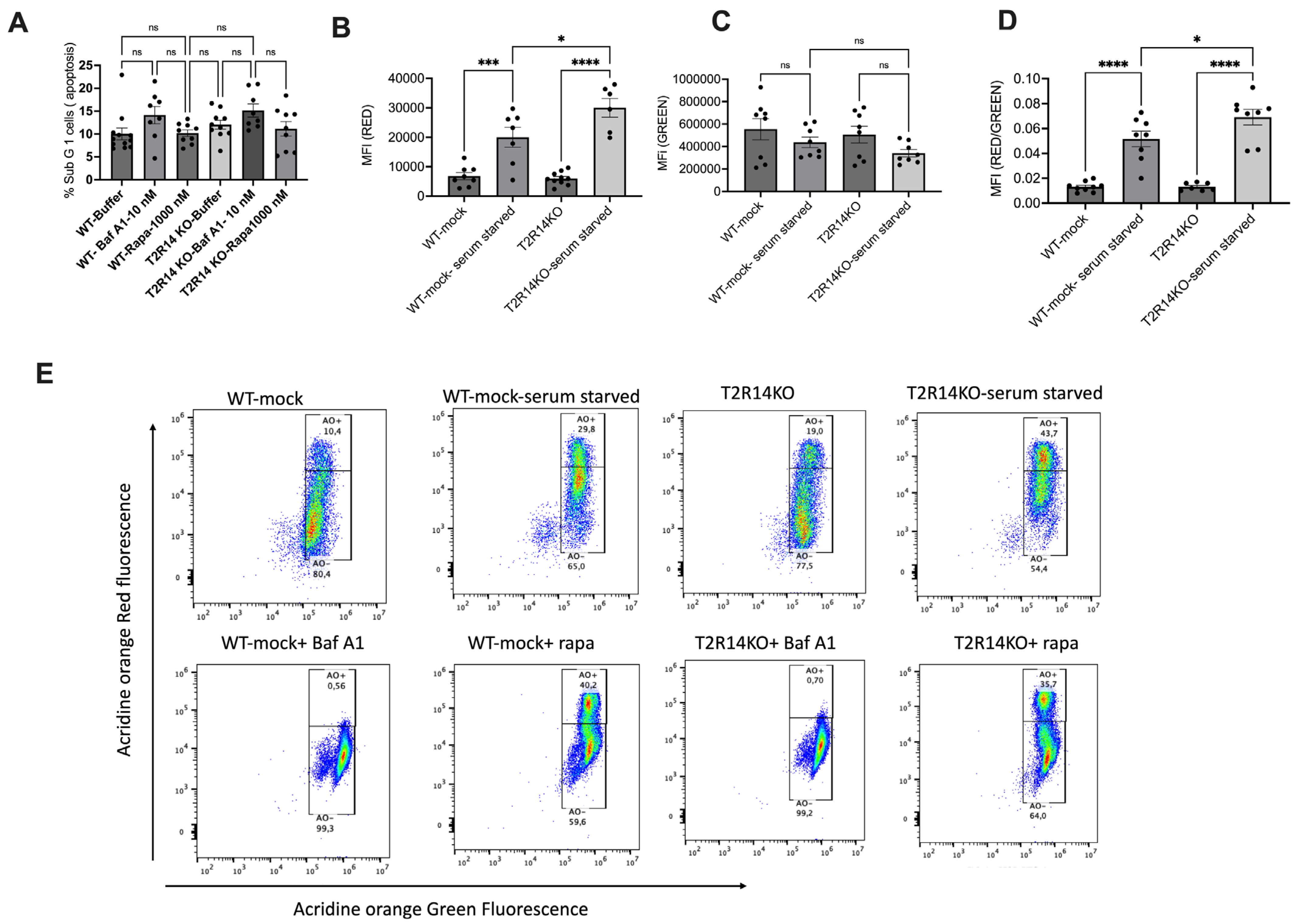 Cells 13 00531 g001a