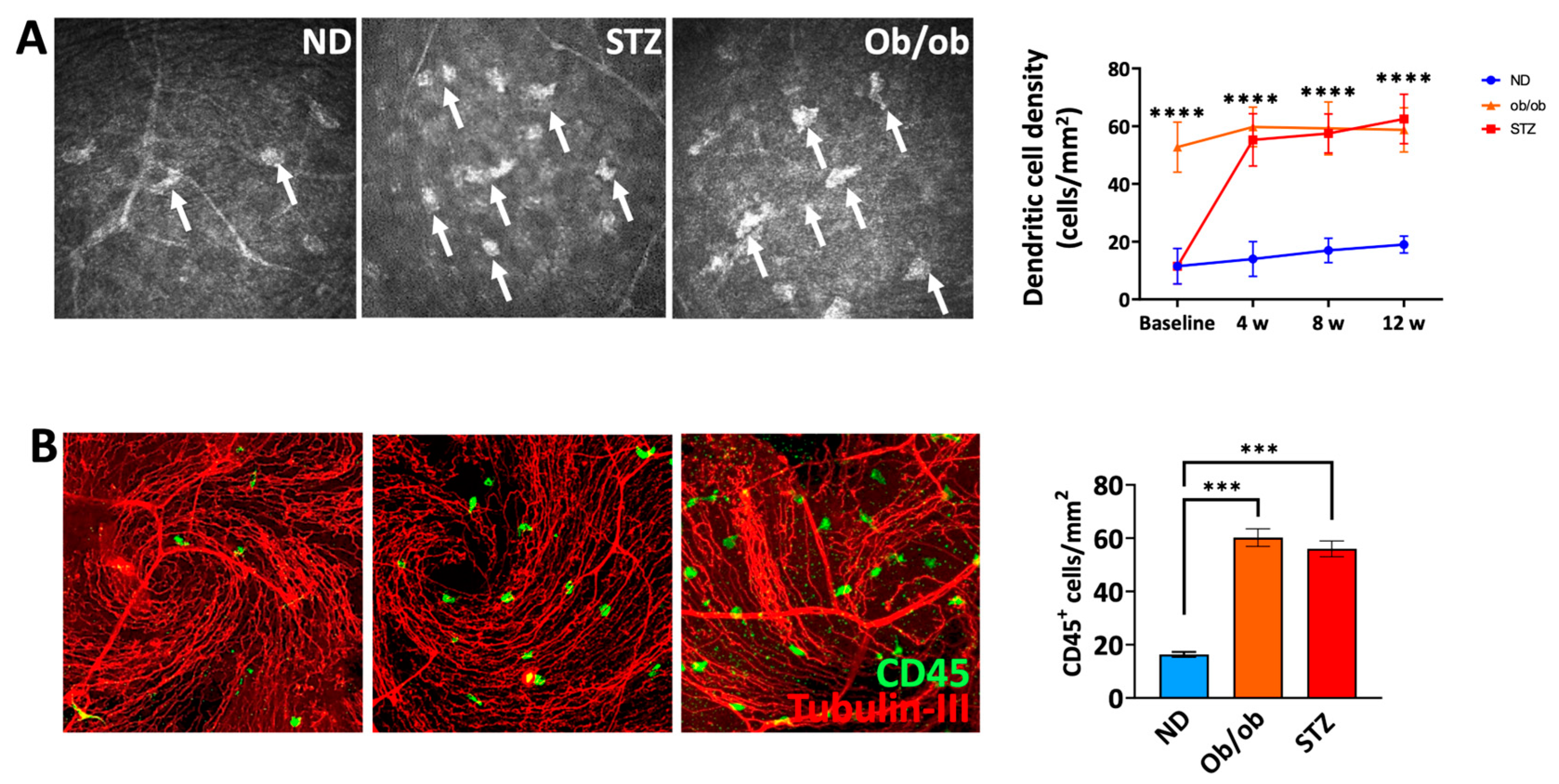 Cells 13 00532 g005 Cells 13 00532 g005
