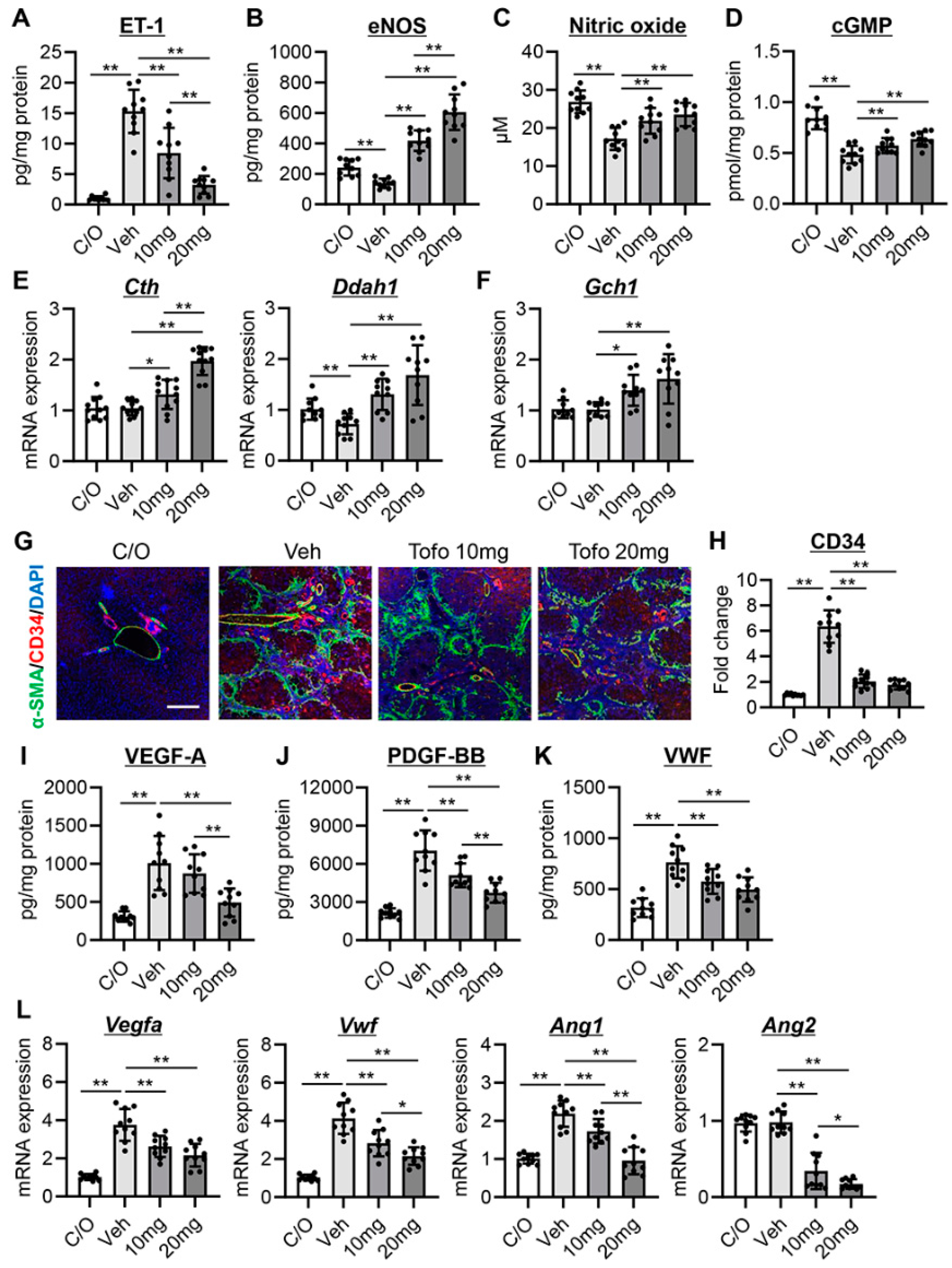 Cells 13 00538 g002 Cells 13 00538 g002