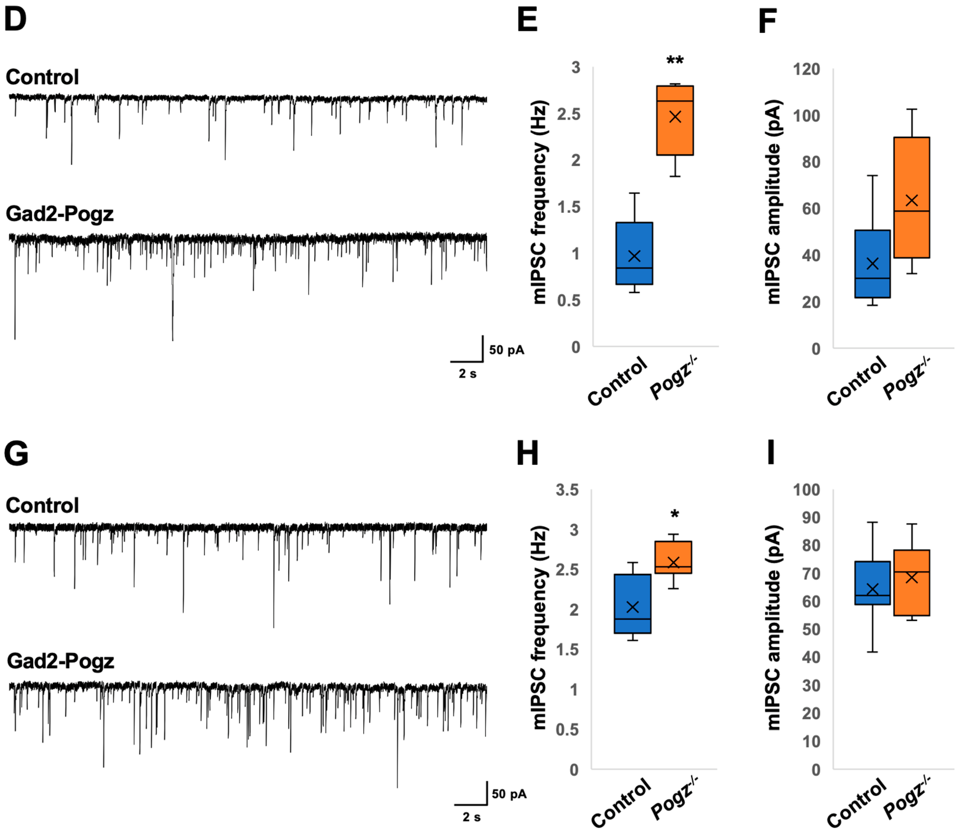 Cells 13 00540 g006b