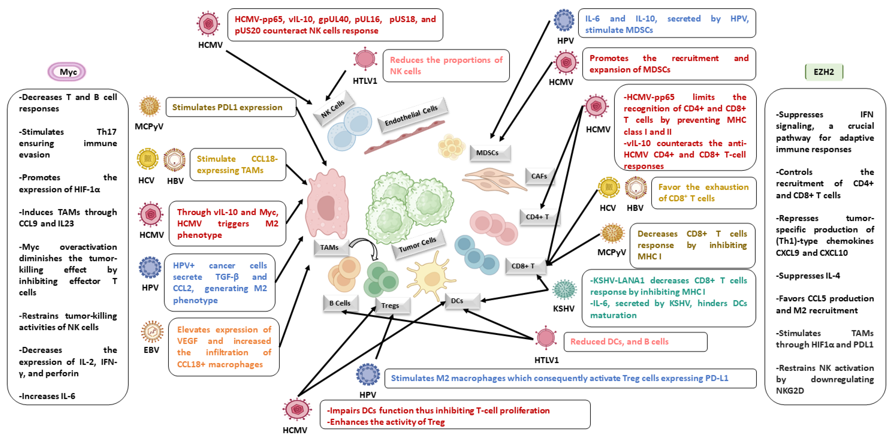 Cells 13 00541 g002 Cells 13 00541 g002