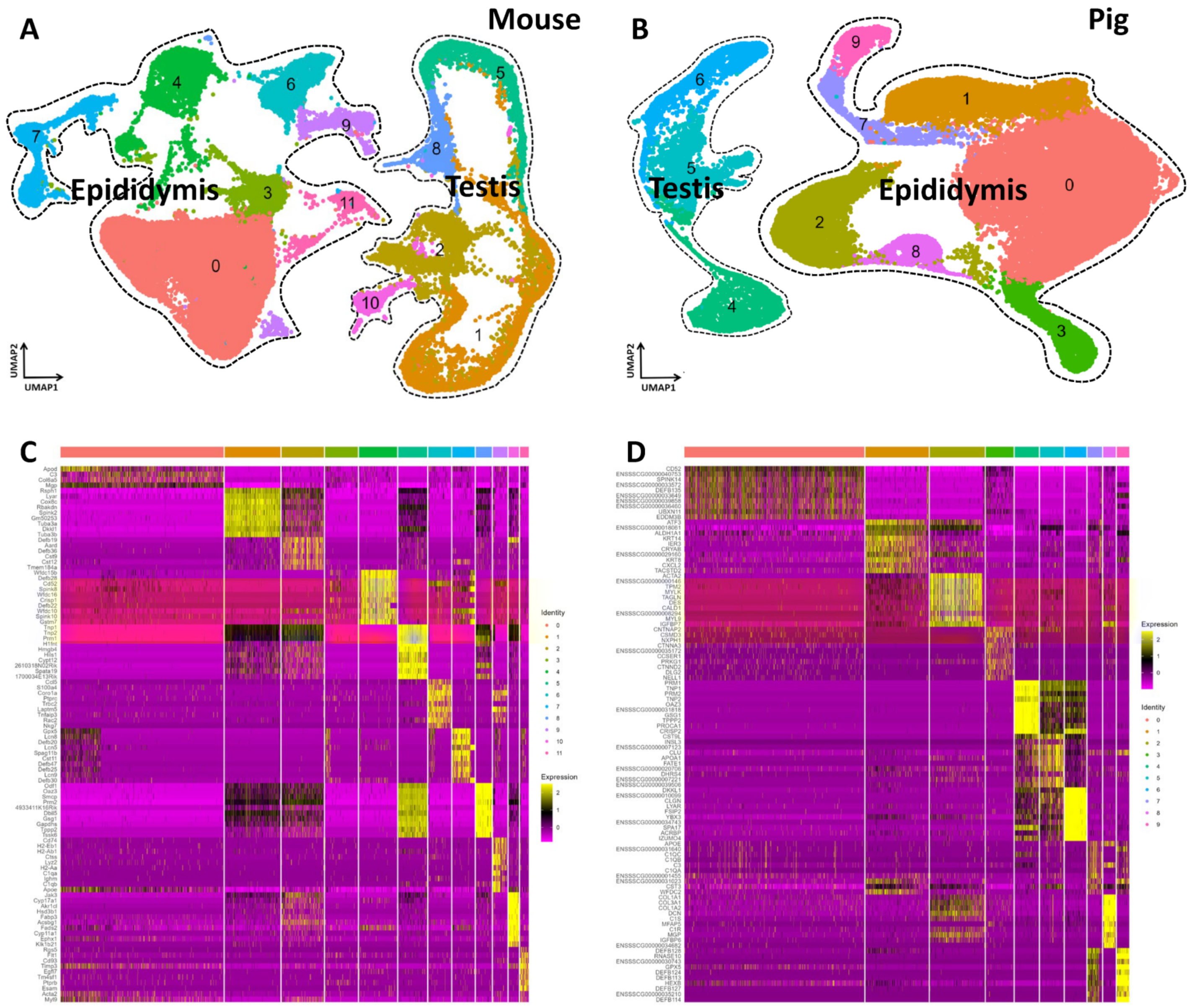Cells 13 00563 g001 Cells 13 00563 g001