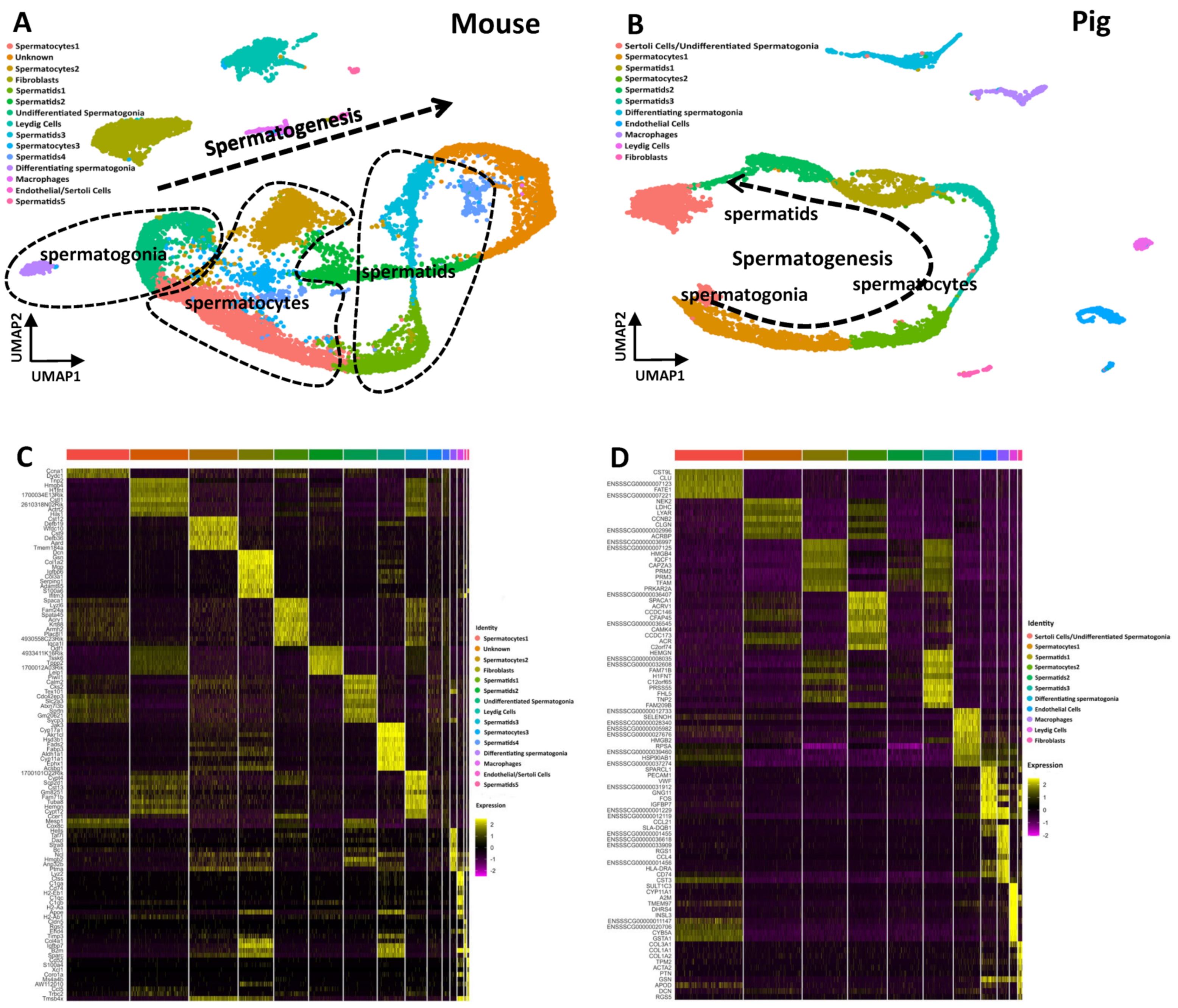 Cells 13 00563 g002 Cells 13 00563 g002