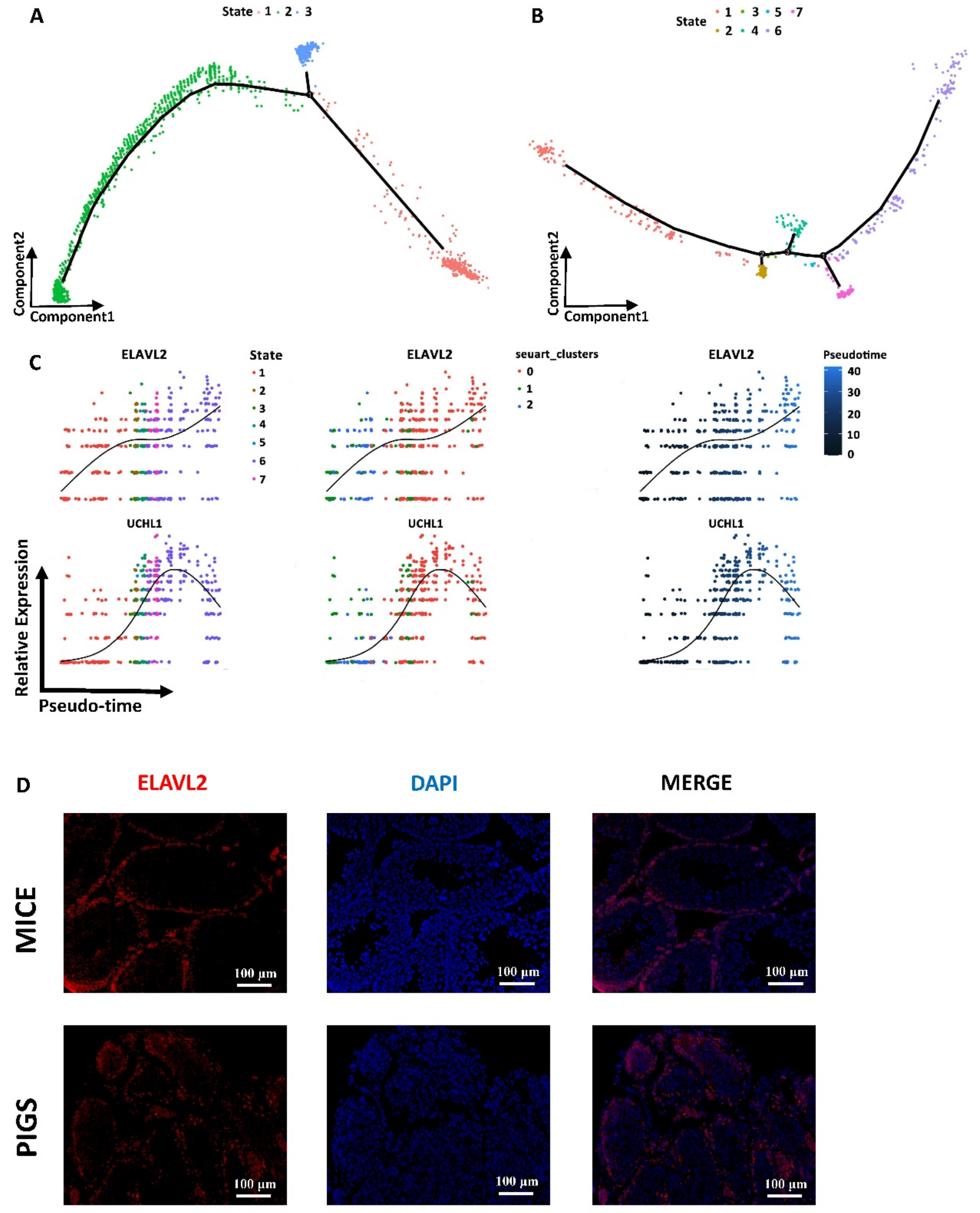 Cells 13 00563 g003 Cells 13 00563 g003