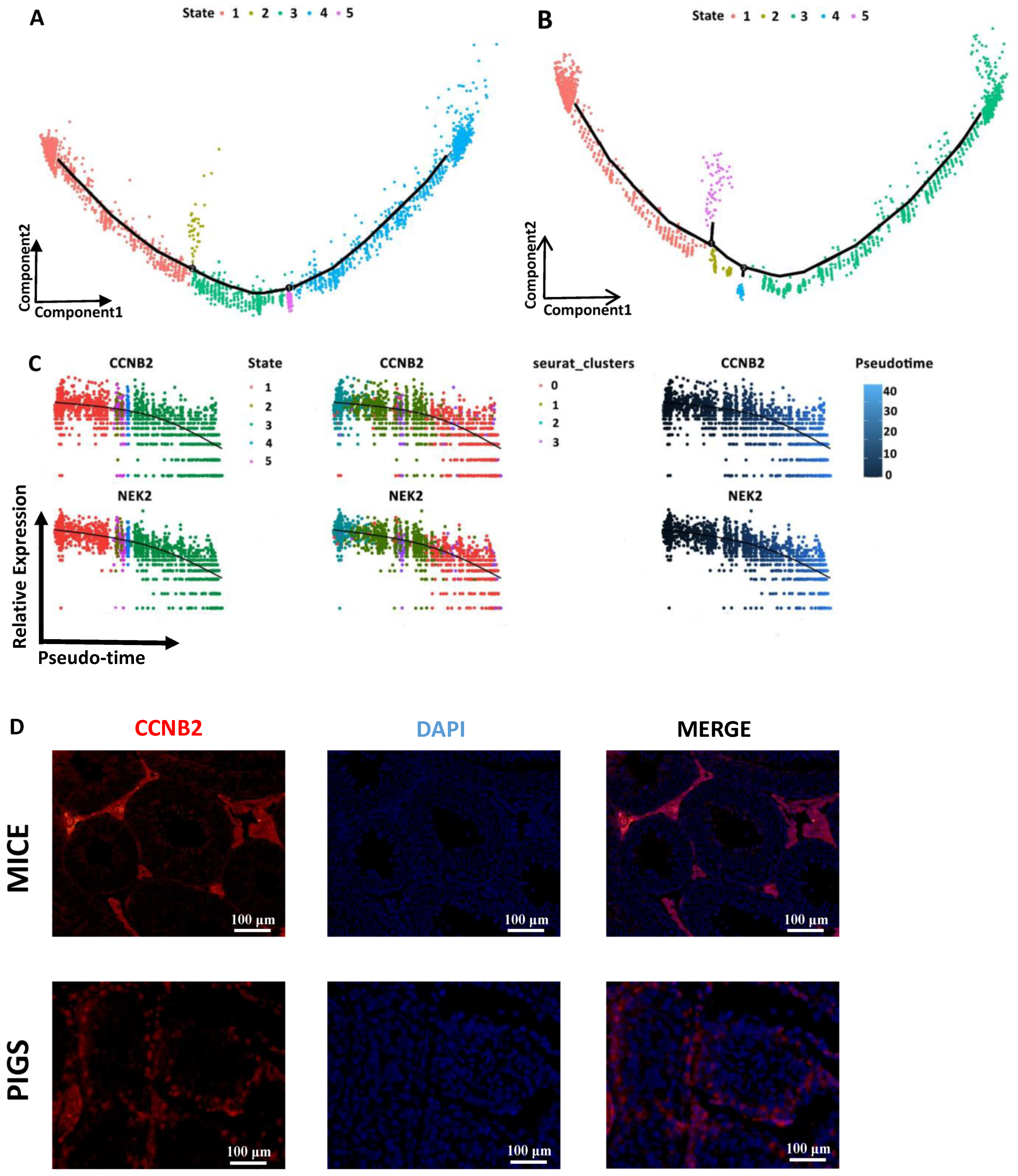 Cells 13 00563 g004 Cells 13 00563 g004