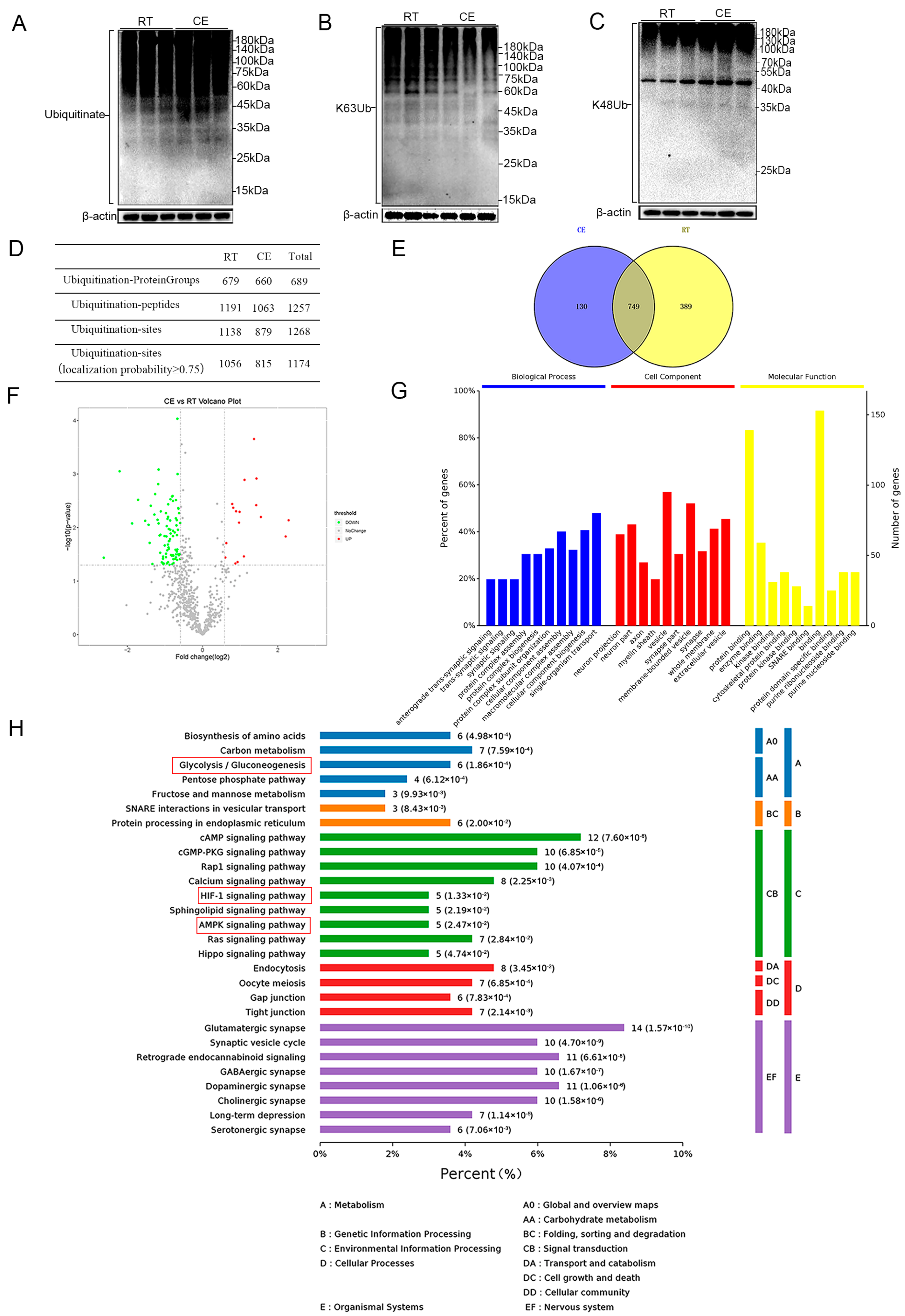 Cells 13 00570 g002 Cells 13 00570 g002